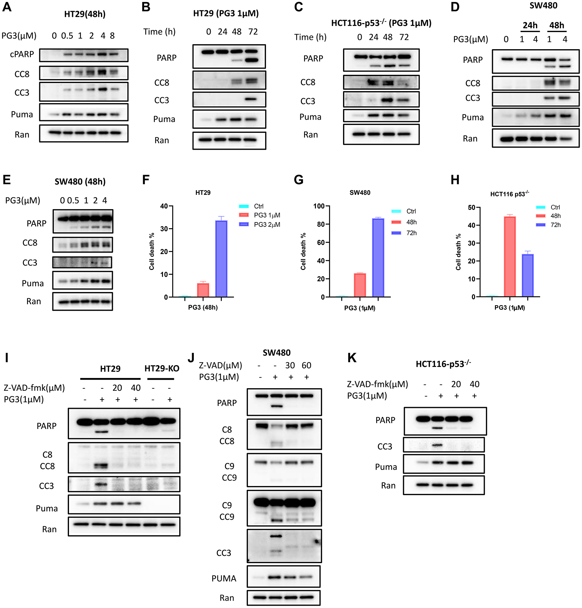 PG3 induces apoptosis in p53-null and p53-mutant cancer cell lines
