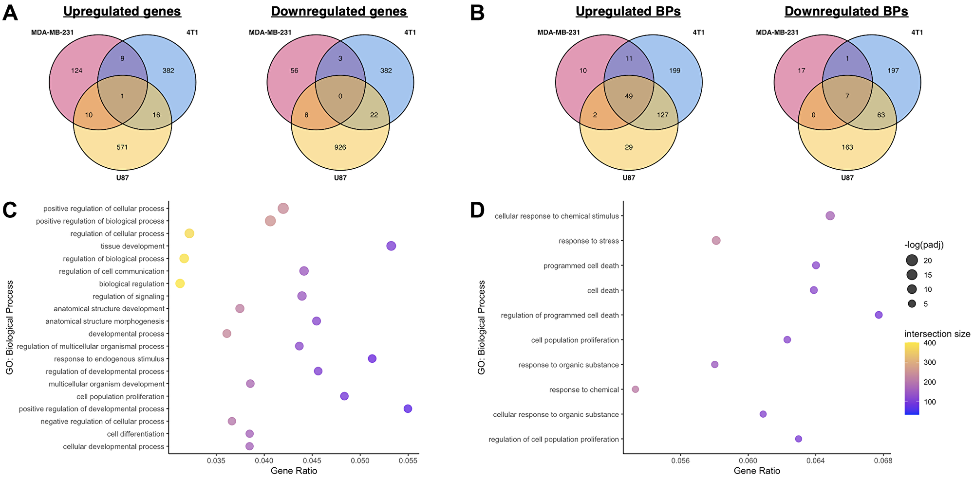 Comparison of transcriptomic effects of miR-10b inhibition in breast cancer cells and glioblastoma