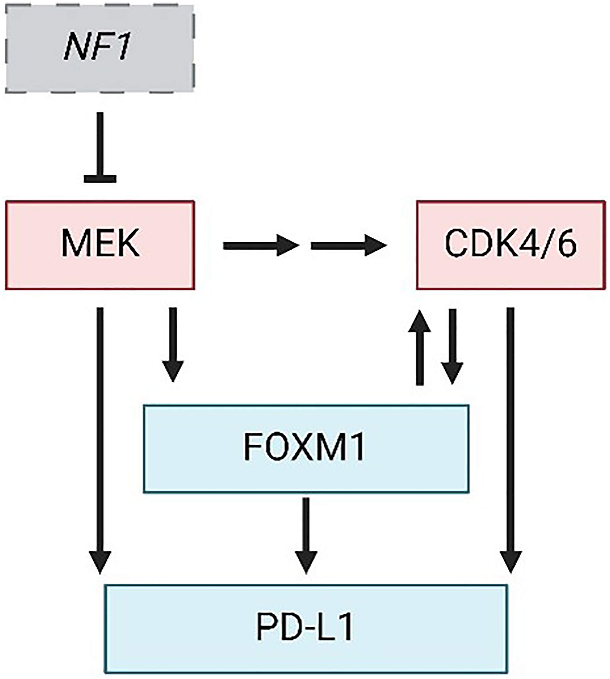 Central mechanisms of MPNST progression and therapy resistance