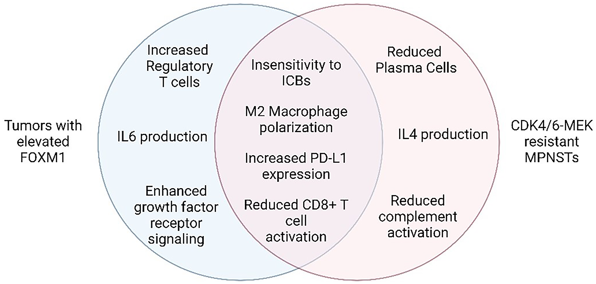 Hallmark features of CDK4/6 and MEK inhibitor resistance and FOXM1 elevation in tumors