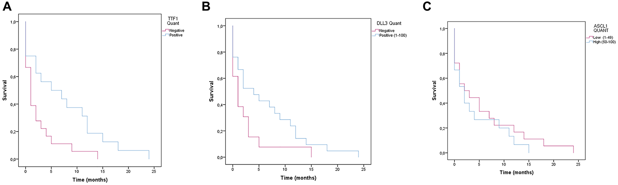 Survival analysis (Kaplan-Meier) of patients with SCLC