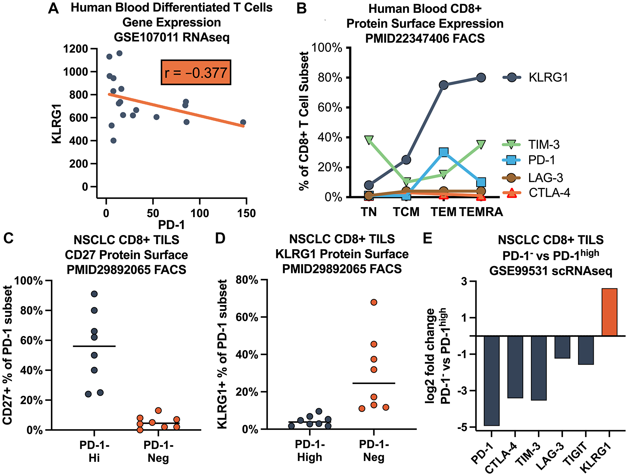 Distinct expression pattern of KLRG1 on highly differentiated human T cells