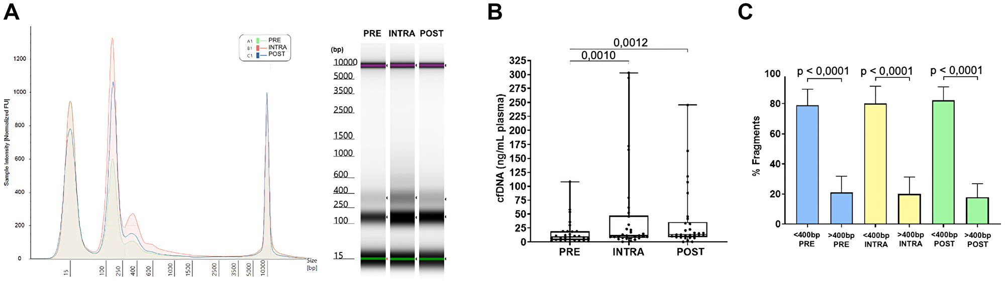cfDNA release profile, comparison of cfDNA concentrations and comparison of fragment size at each surgical moment