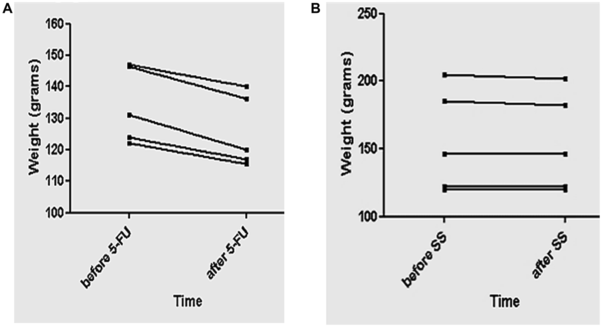 Representative graphics of the animals’ weight treated with 5-FU or SS as control
