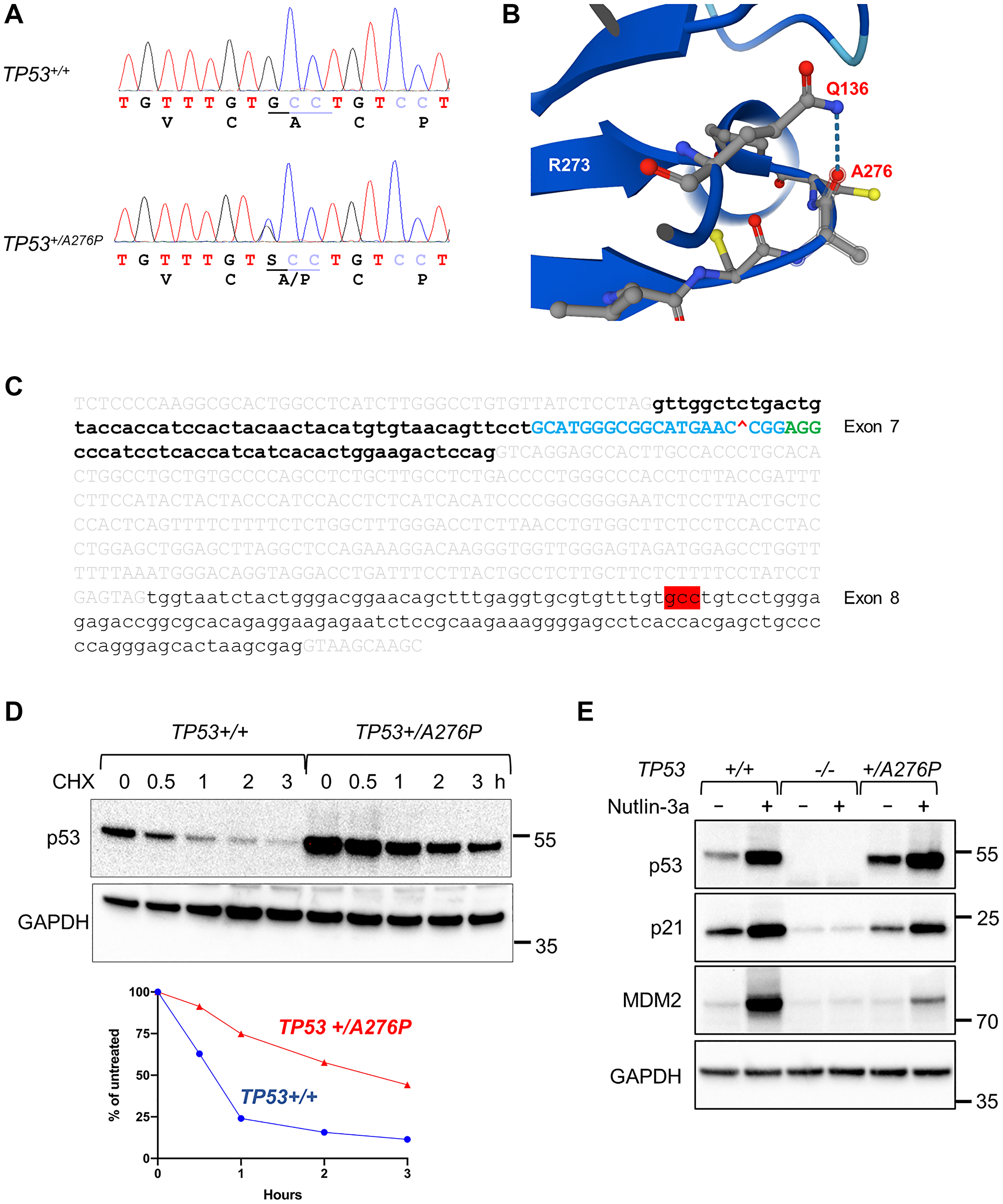 Identification of a TP53+/A276P subclone