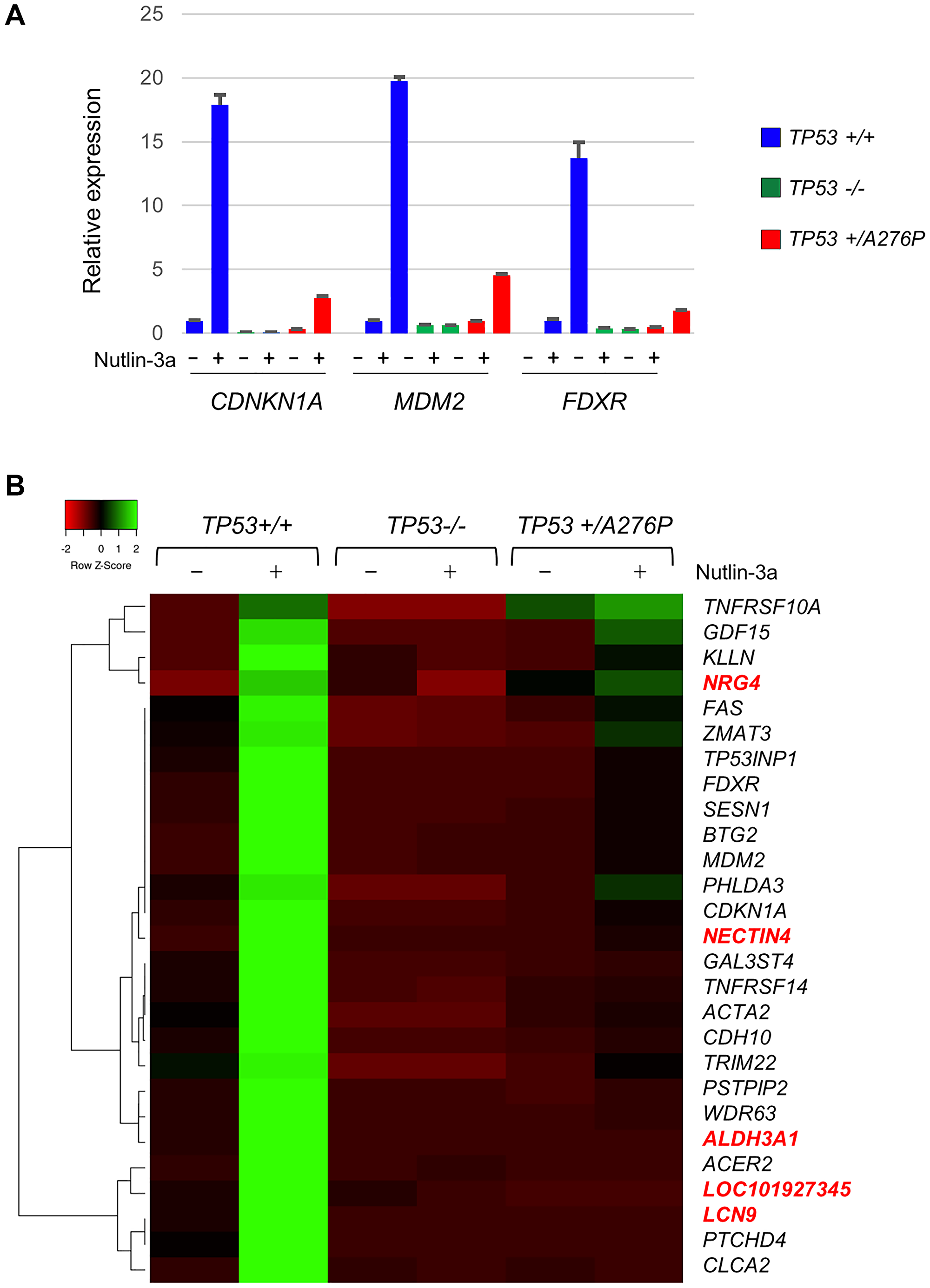 Dominant attenuation of p53-dependent gene expression by p53 A276P
