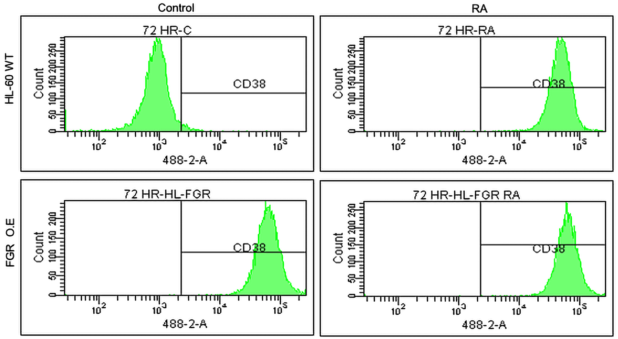 Phenotypic cell surface differentiation marker analysis of HL-60 wt and FGR O.E cells untreated and treated with RA