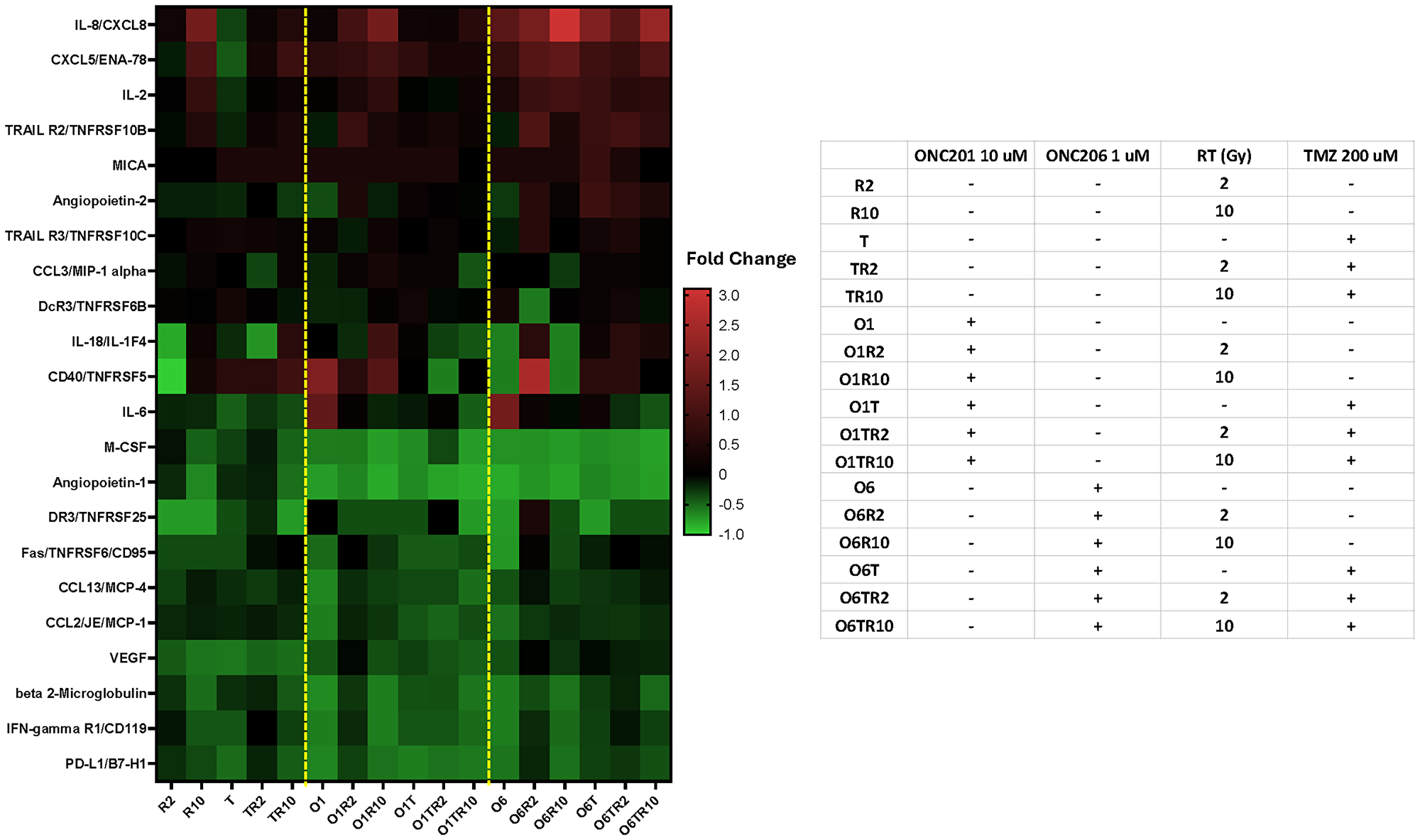 Differential cytokine profiling of IRT triple combinations of ONC201 or ONC206 with RT and TMZ for 48 hr. in U251 GBM cell line in vitro