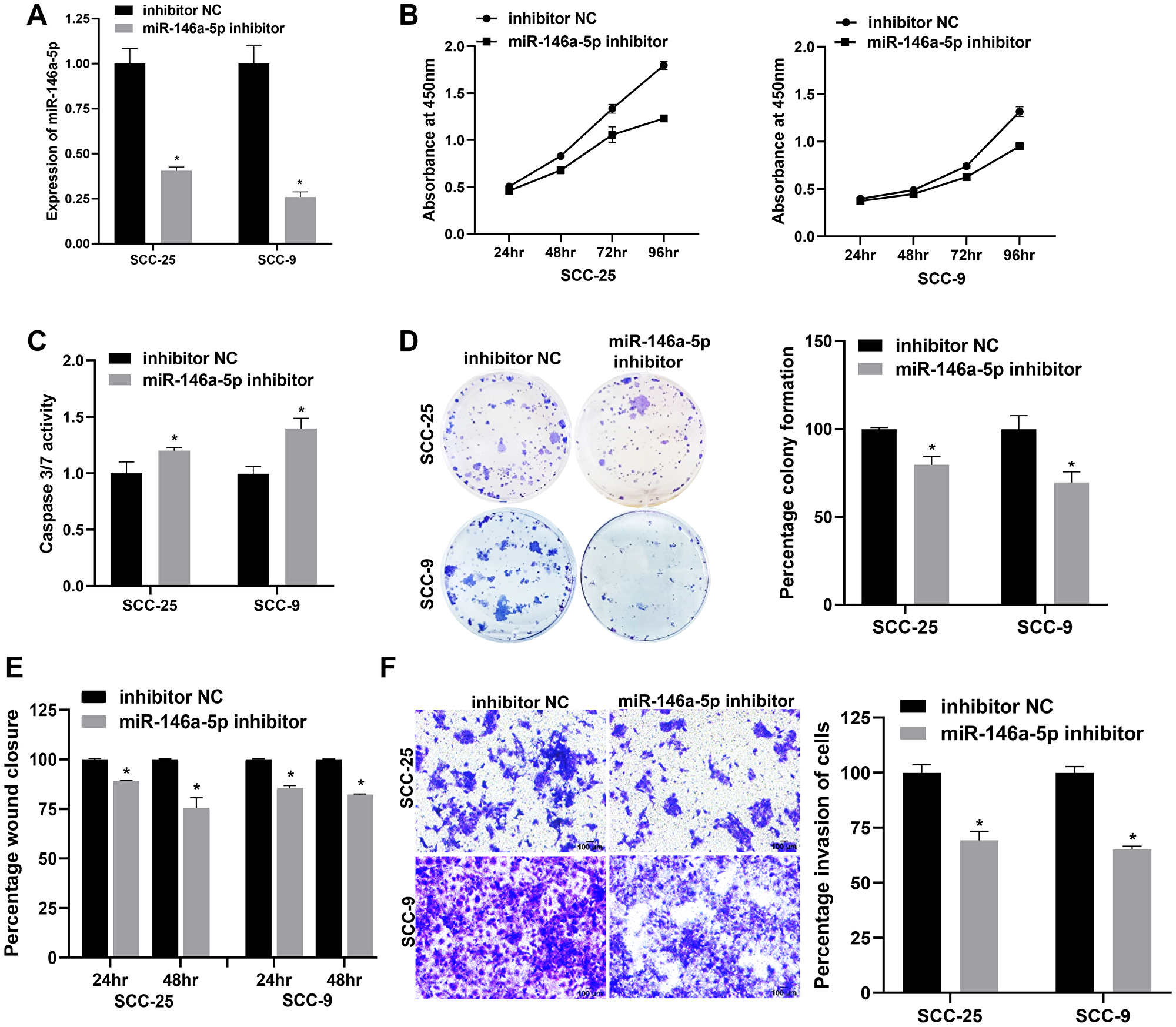 miR-146a-5p regulates the proliferation, apoptosis, migration, and invasion of OSCC cells in vitro