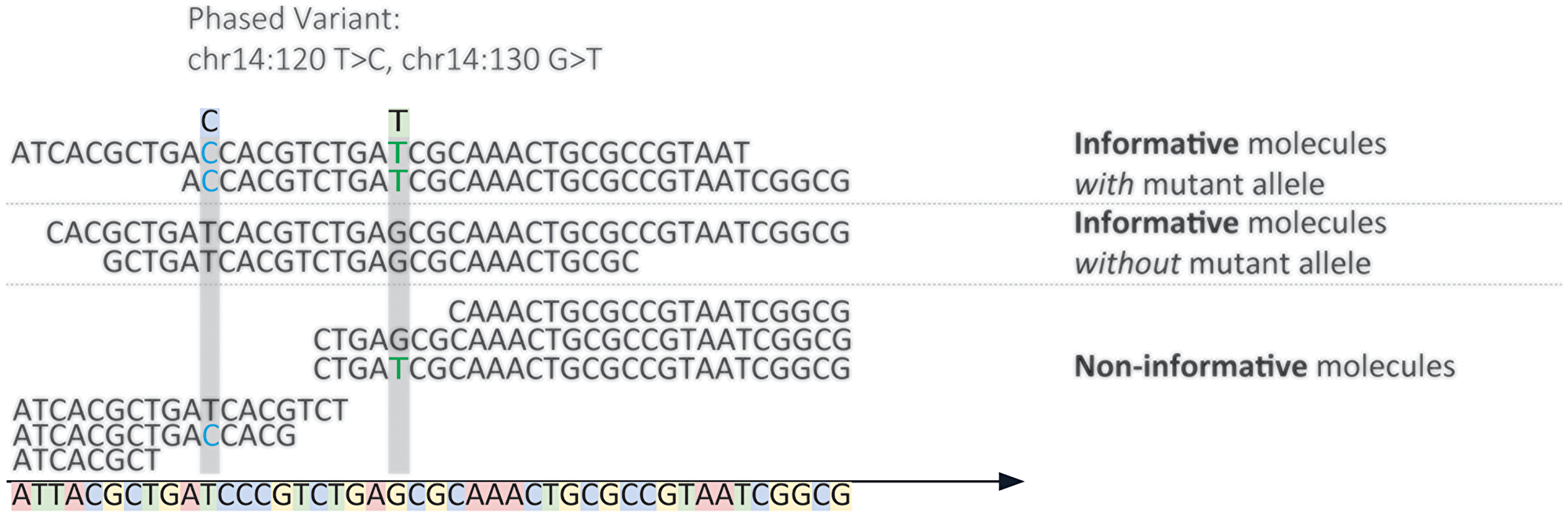 Depiction of informative molecules