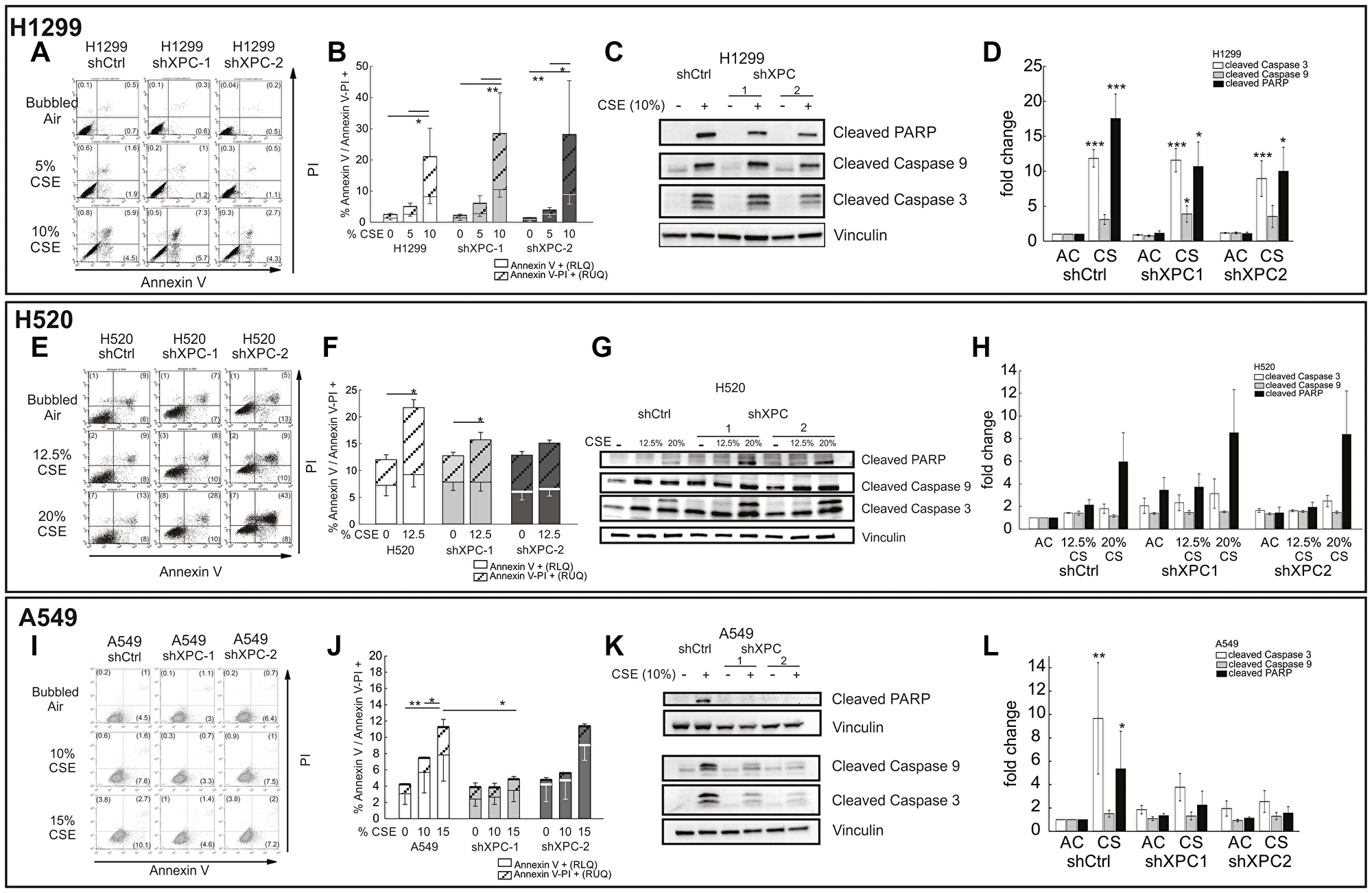 XPC impact to cigarette smoke extract–induced apoptosis in NSCLC cell lines