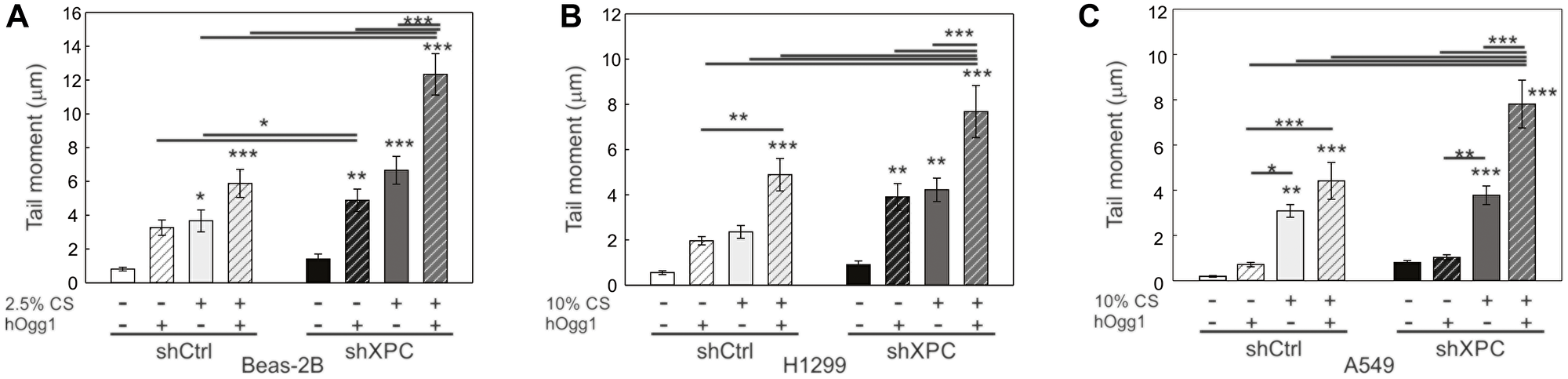 Effect of XPC in oxidative DNA damage in benign and cancerous lung epithelial cells