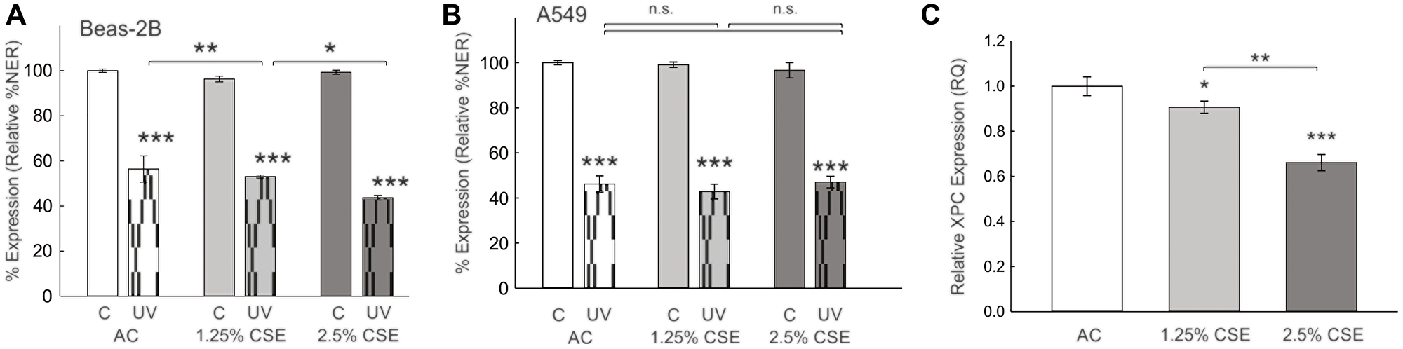 Effect of cigarette smoke extract (CSE) on nucleotide excision repair (%NER) and XPC gene expression