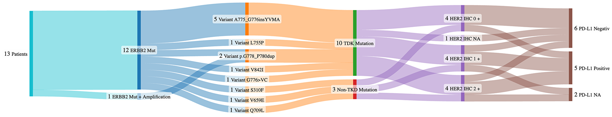 Distribution of HER2 mutations, HER2 IHC expression, and PD-L1 status in a cohort of 13 lung cancer patients