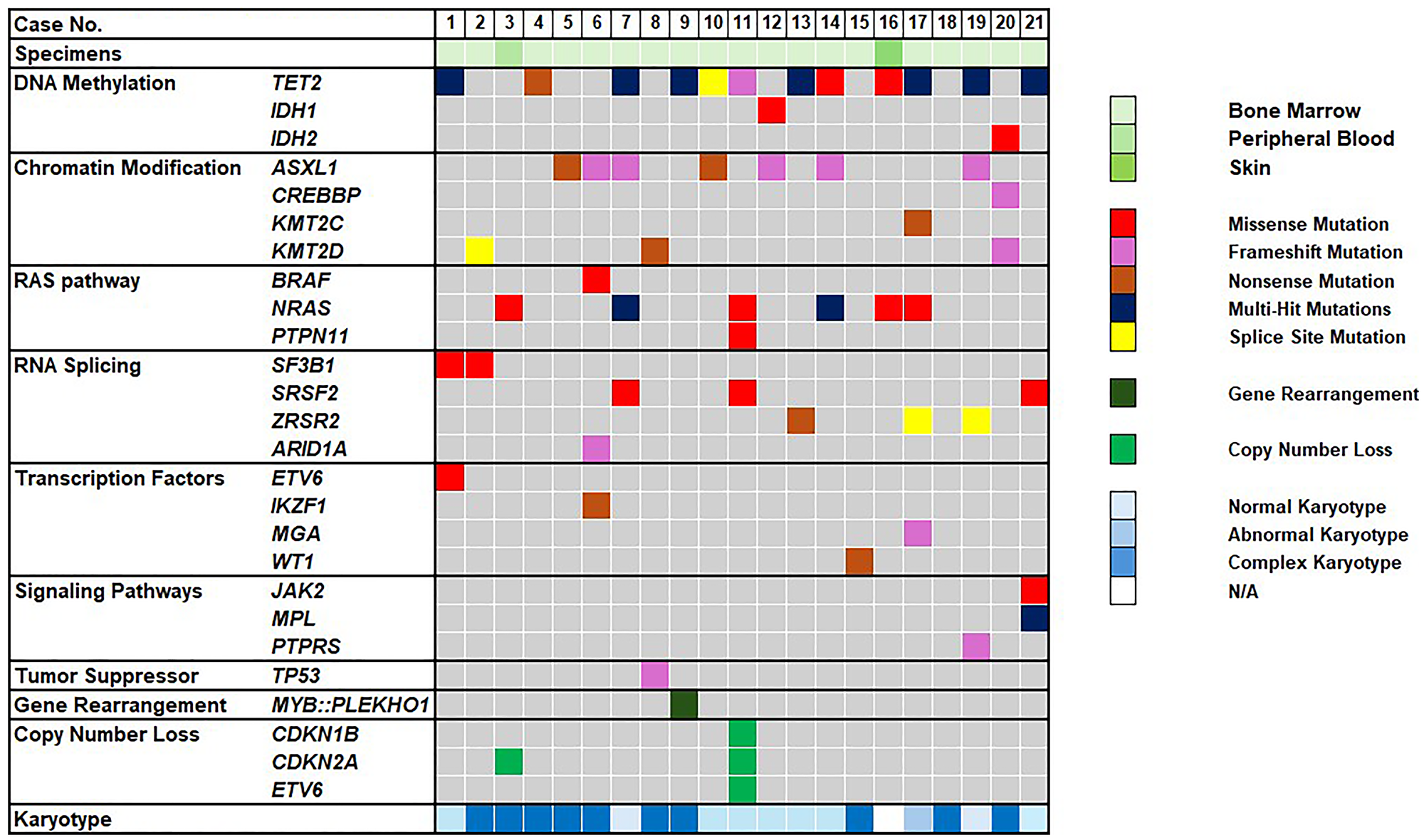 Genetic and cytogenetic features of 21 BPDNC patients