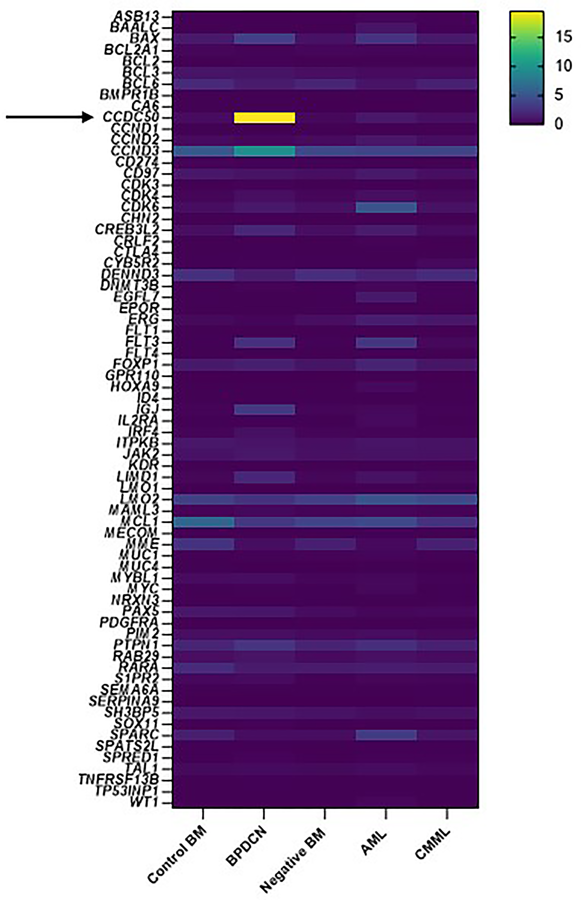 RNA expression profiling of 71 genes associated with hematological malignancies in patients with BPDCN, AML and CMML