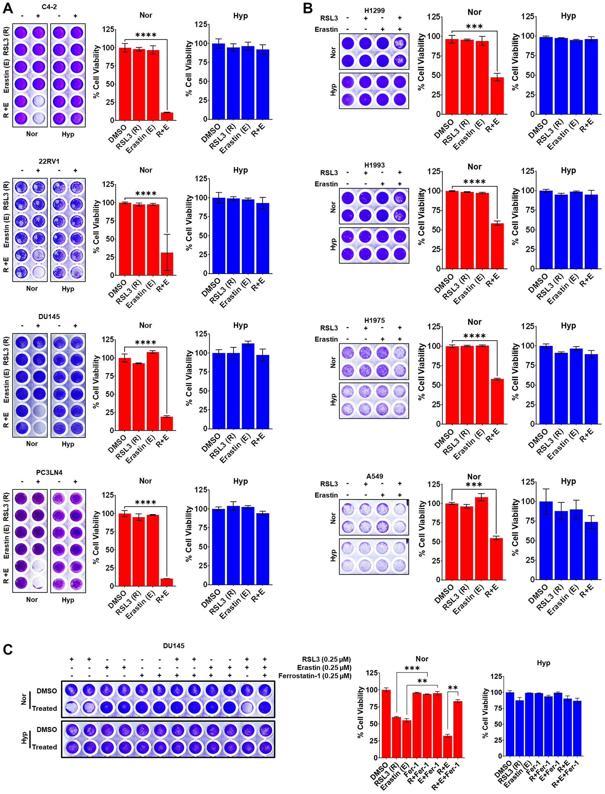 Co-targeting GPX4 and xCT has synergistic cytotoxic effects that are blocked in hypoxia