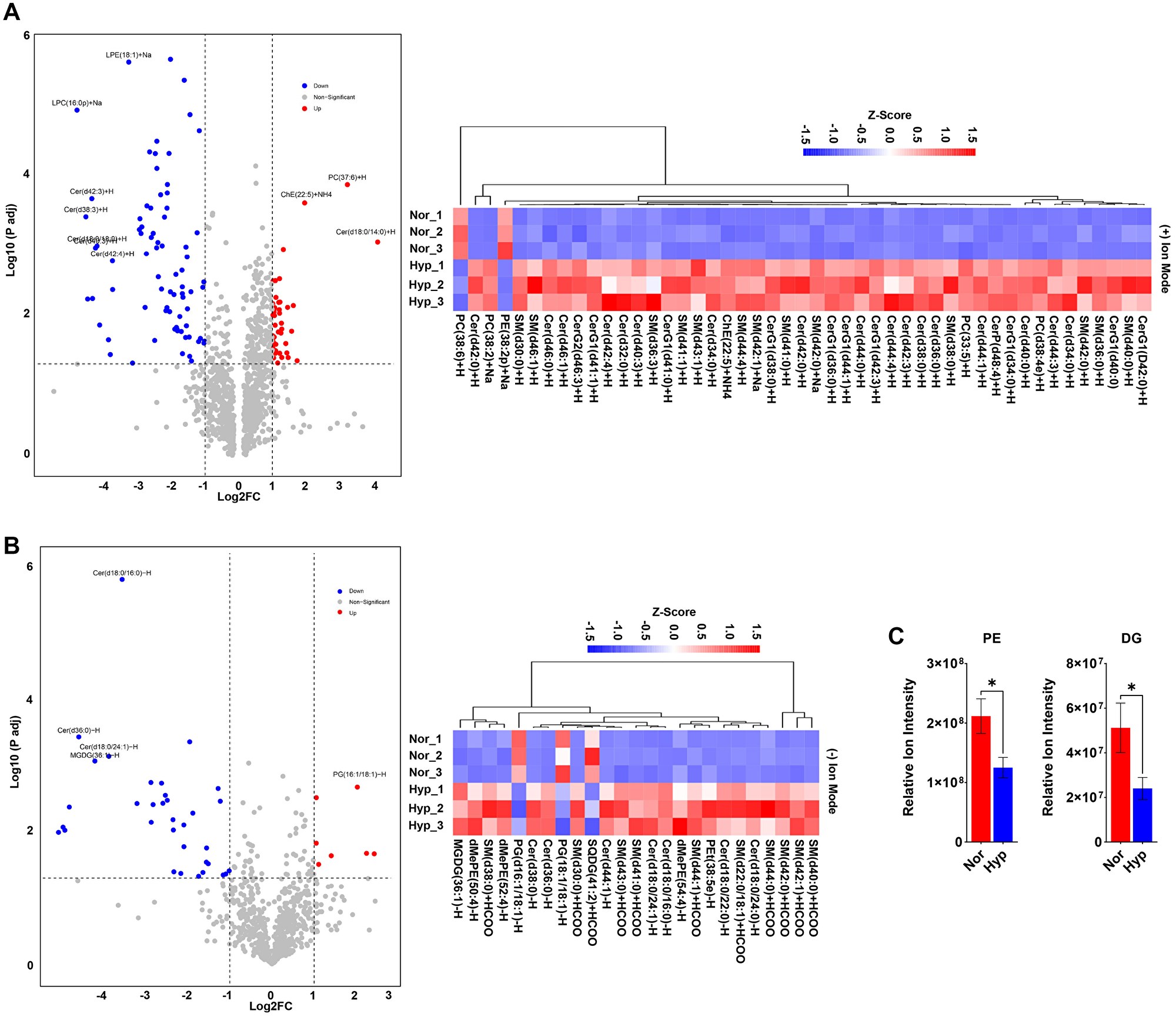 Hypoxia reduces the levels of neutral lipids available for peroxidation