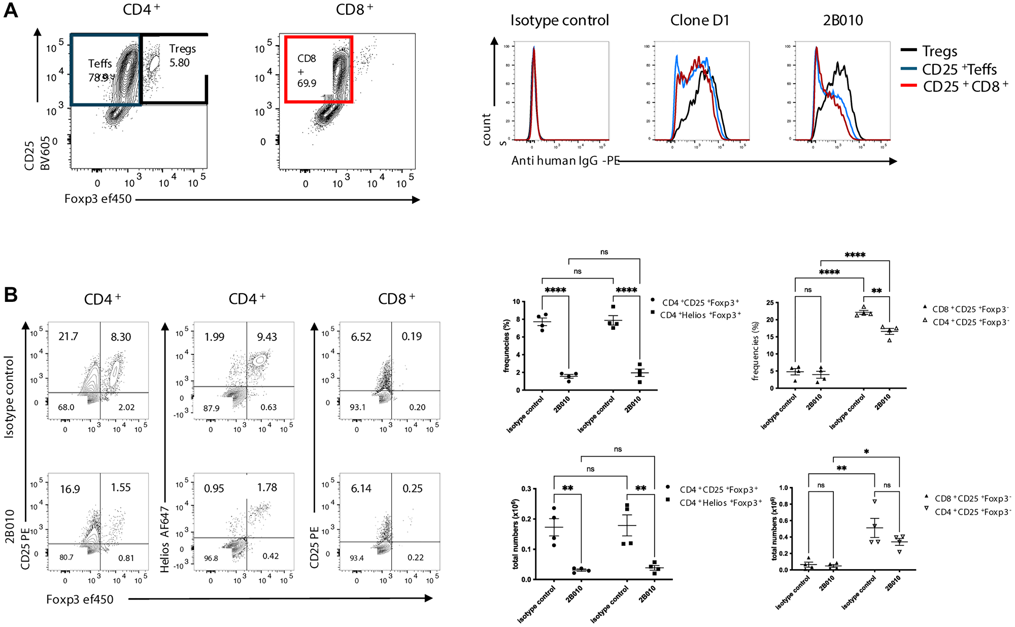 2B010 preferentially reacts with and depletes activated Treg in vivo during xeno-GvHD