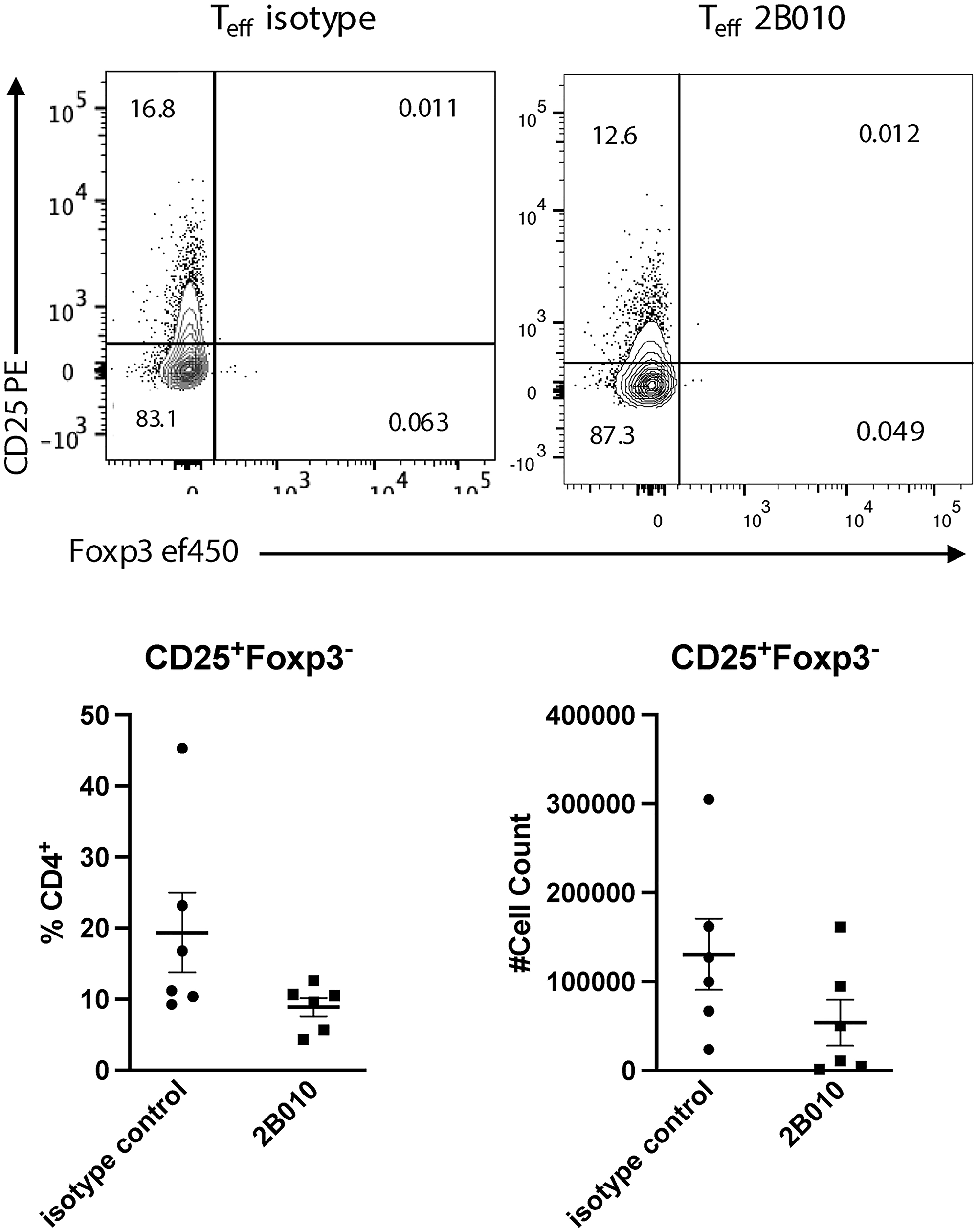 2B010 does not deplete activated CD4+CD25+Foxp3− T cells in vivo