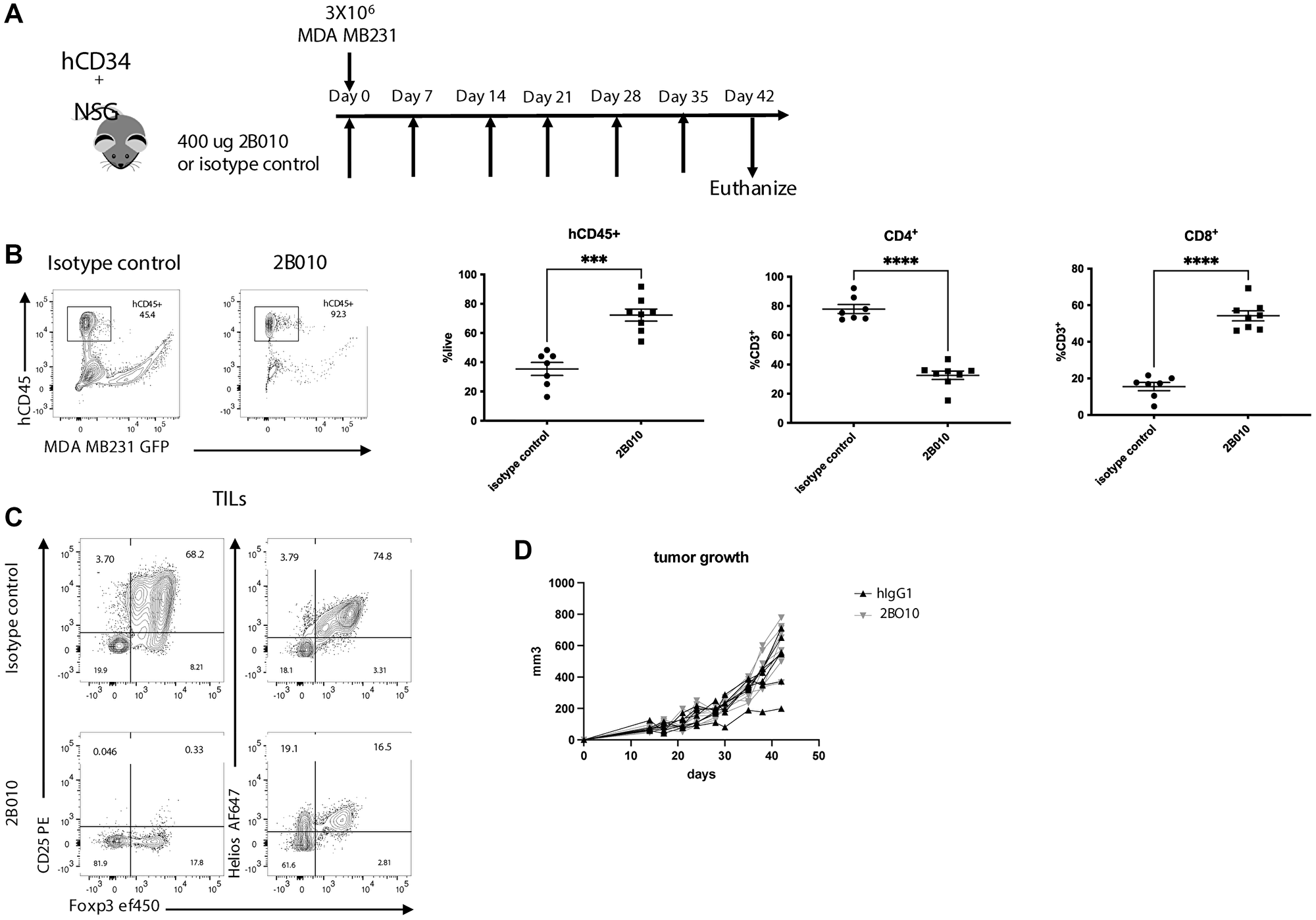 2B010 depletes Treg from the TME in humanized mice