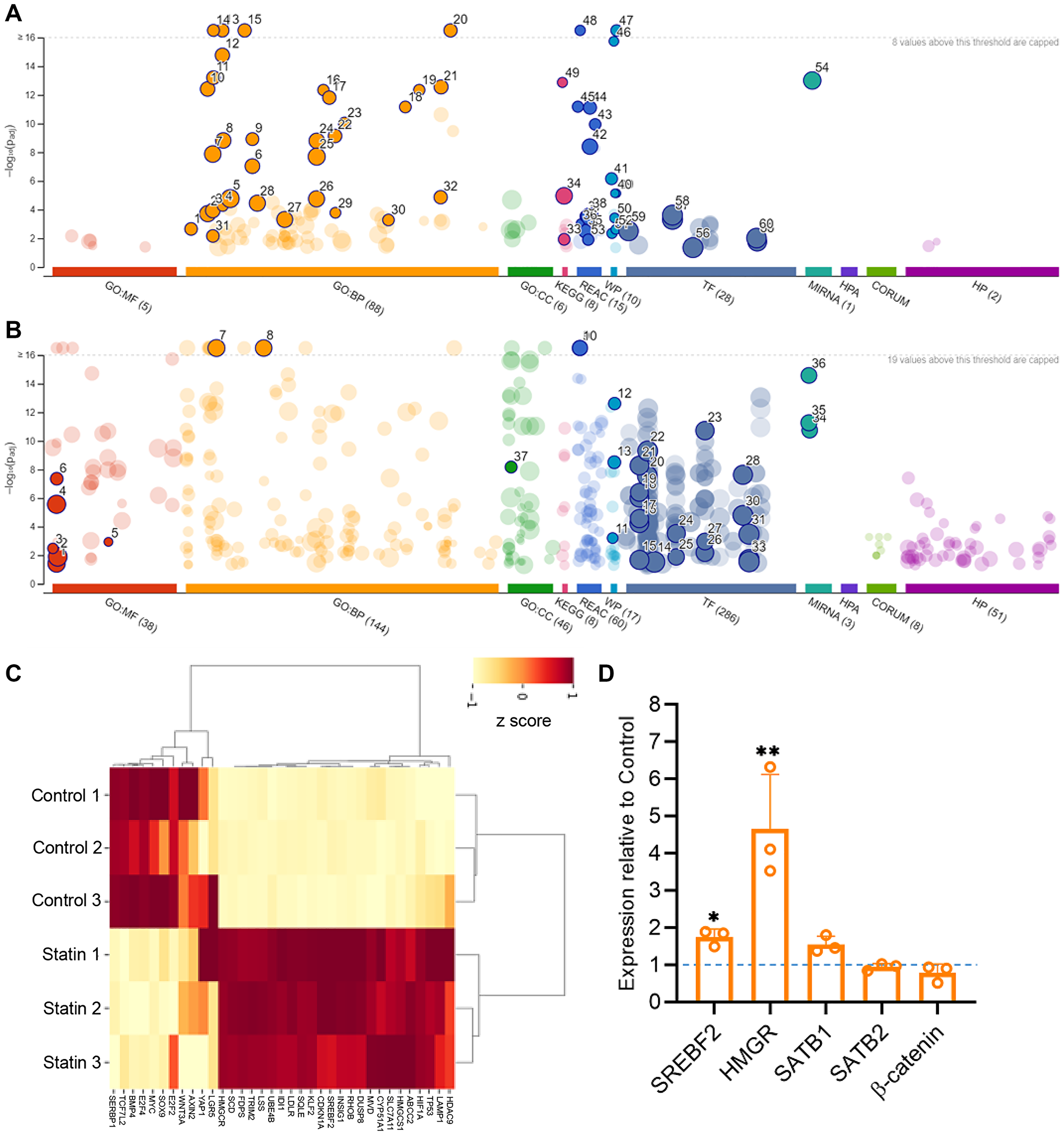 Transcriptome analysis of HCT116 cells upon simvastatin (statin) treatment reveals a tumor-suppressive phenotype