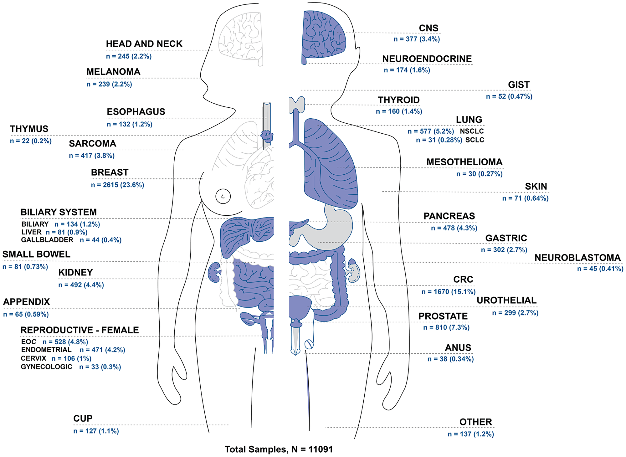 Distribution of samples by tumor type