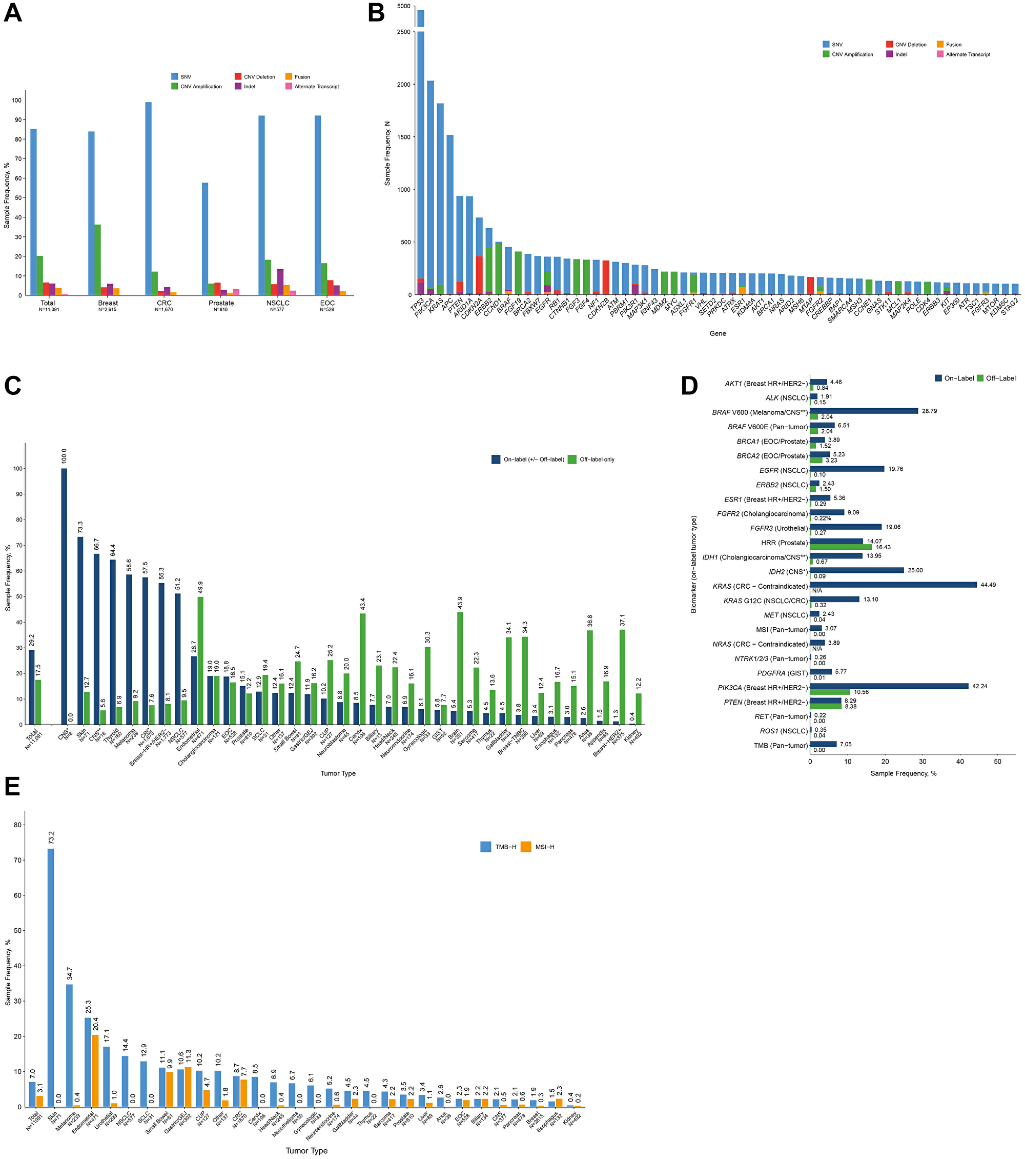 Distribution of samples with therapeutically actionable alterations in the OncoExTra analysis cohort