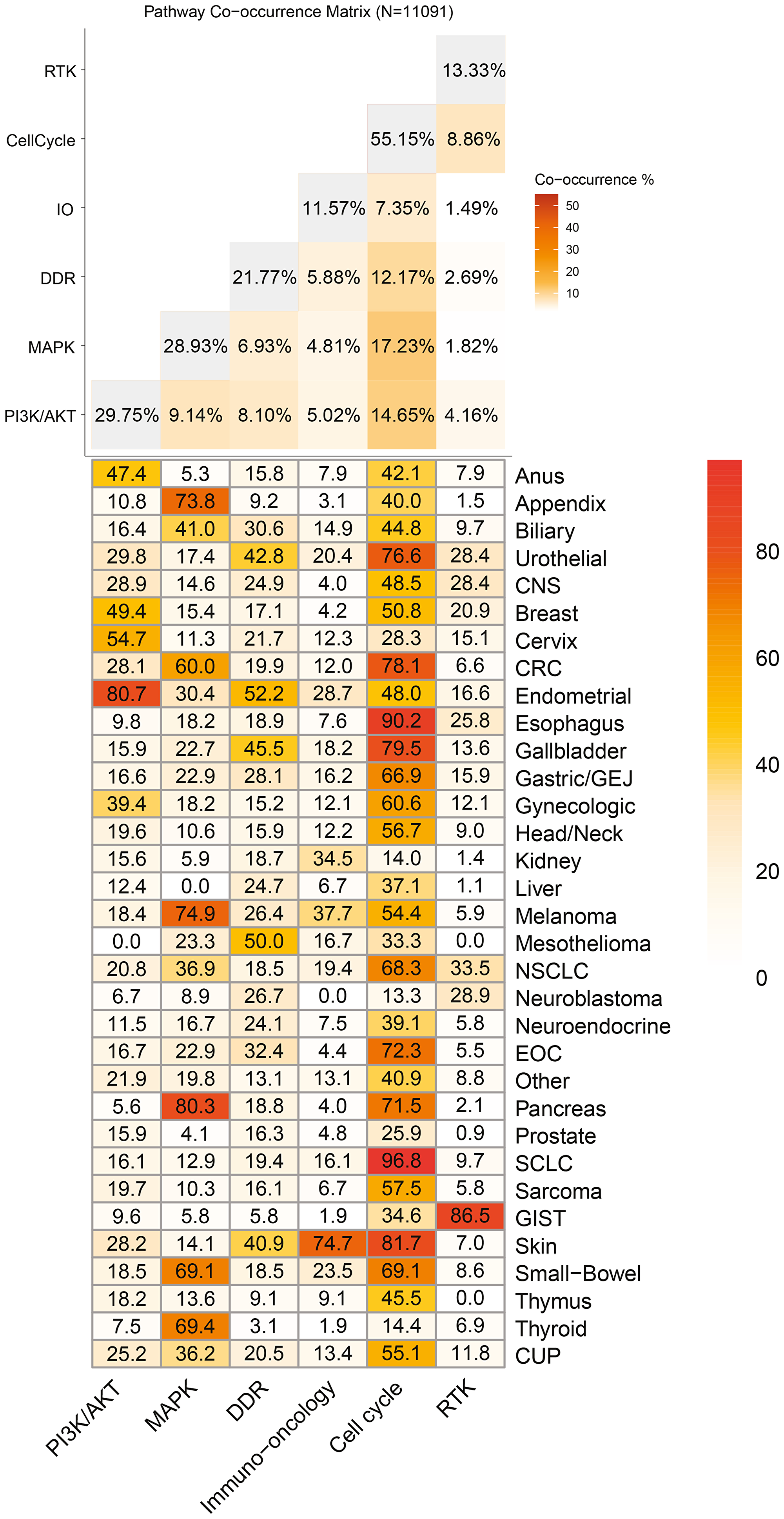 Distribution of cancer-relevant pathways, overall and by tumor type