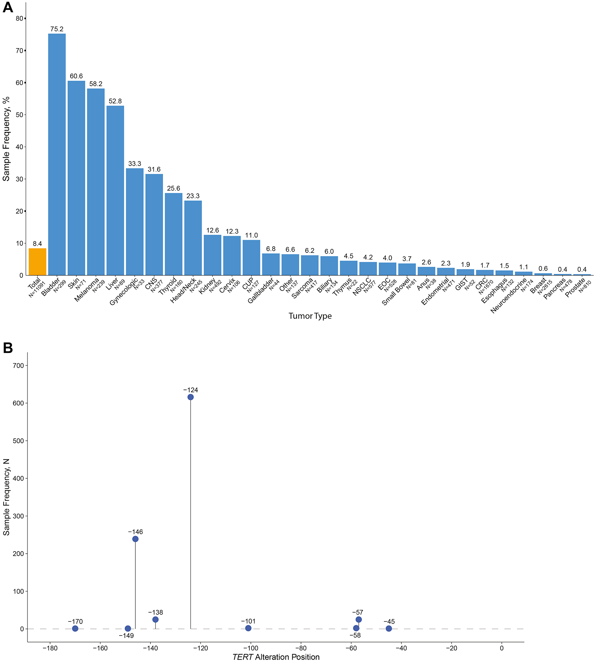 TERT promoter mutations