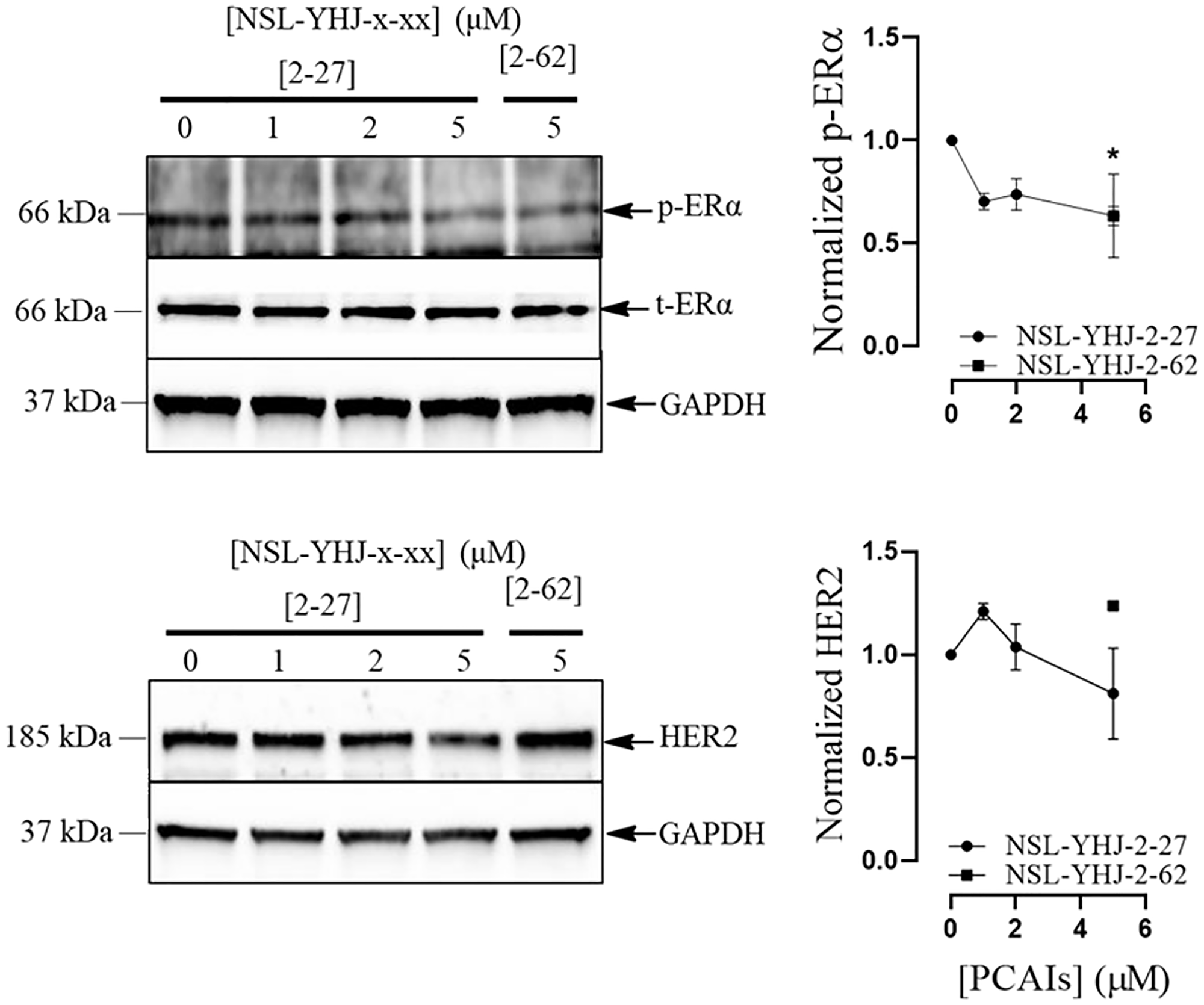 PCAIs effects on HER2 and ERα levels