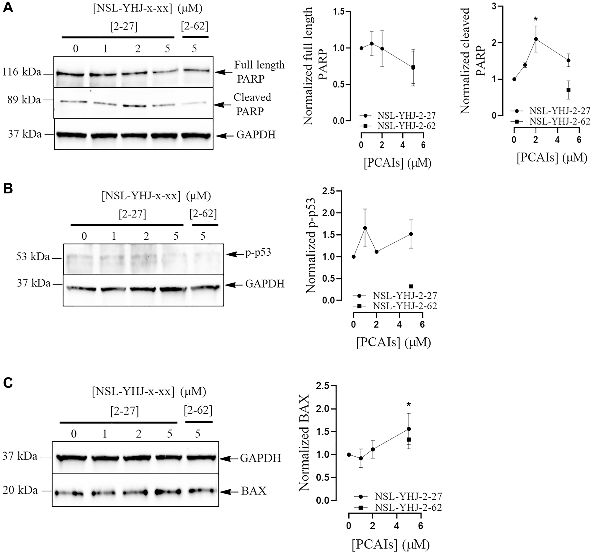 NSL-YHJ-2-27 alter the levels of apoptotic markers