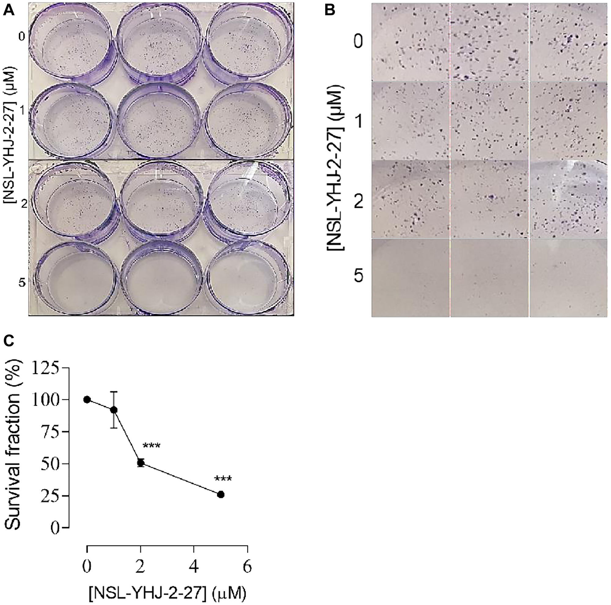 NSL-YHJ-2-27 inhibits LTLT-Ca colony formation