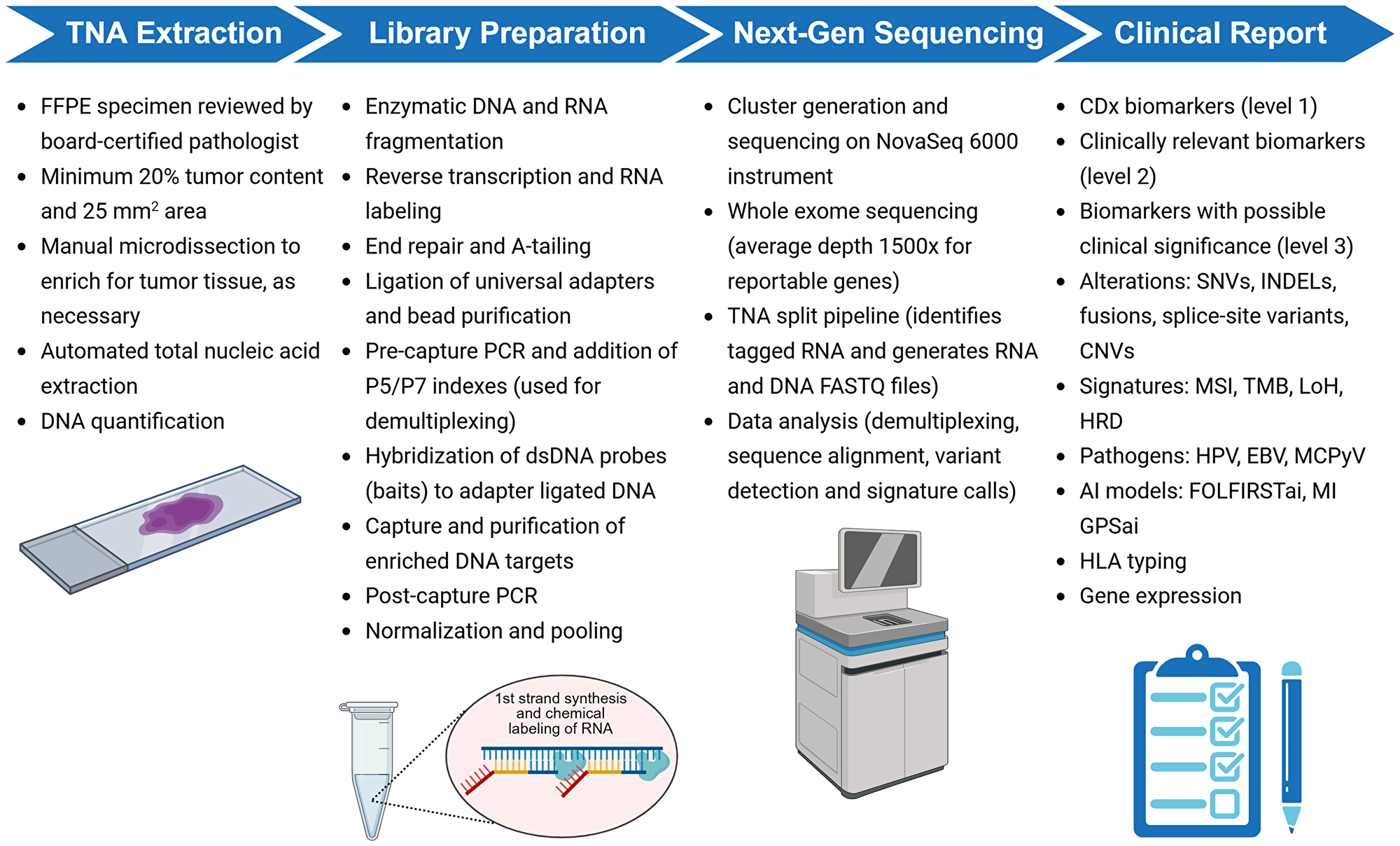 Overview of MI Cancer Seek workflow