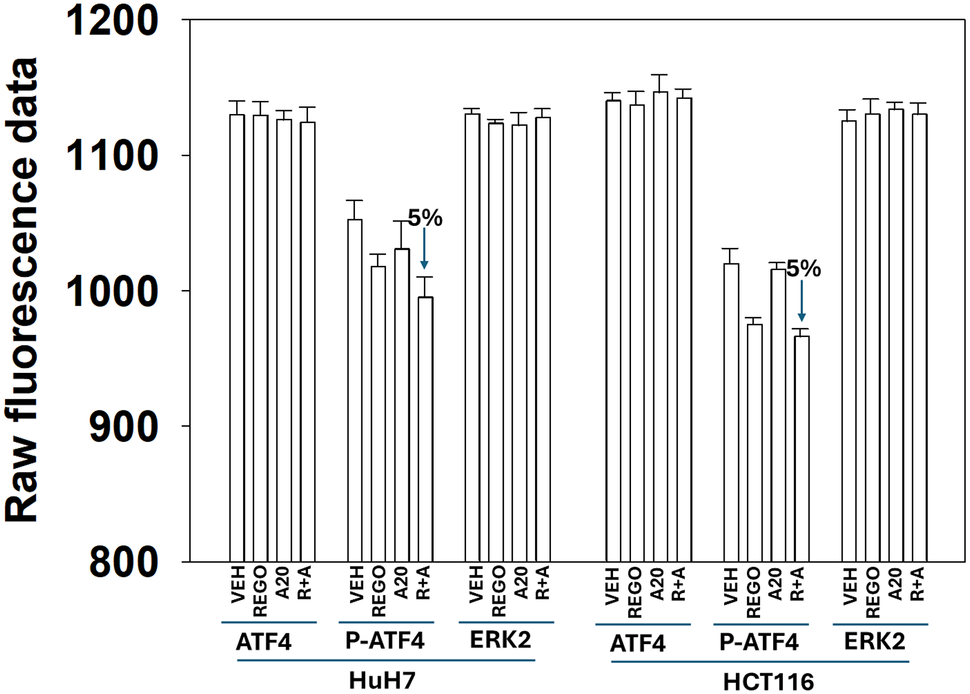 ATF4 expression and ATF4 phosphorylation are not significantly altered after exposure to aramchol and regorafenib