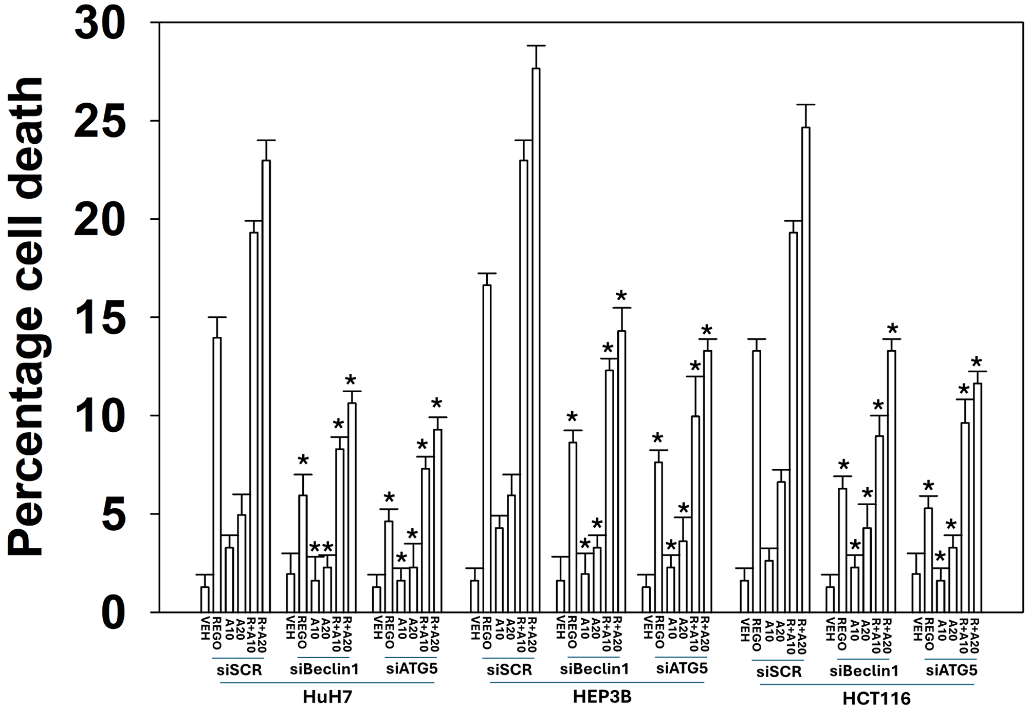 The lethal effects of the aramchol plus regorafenib combination require autophagosome formation