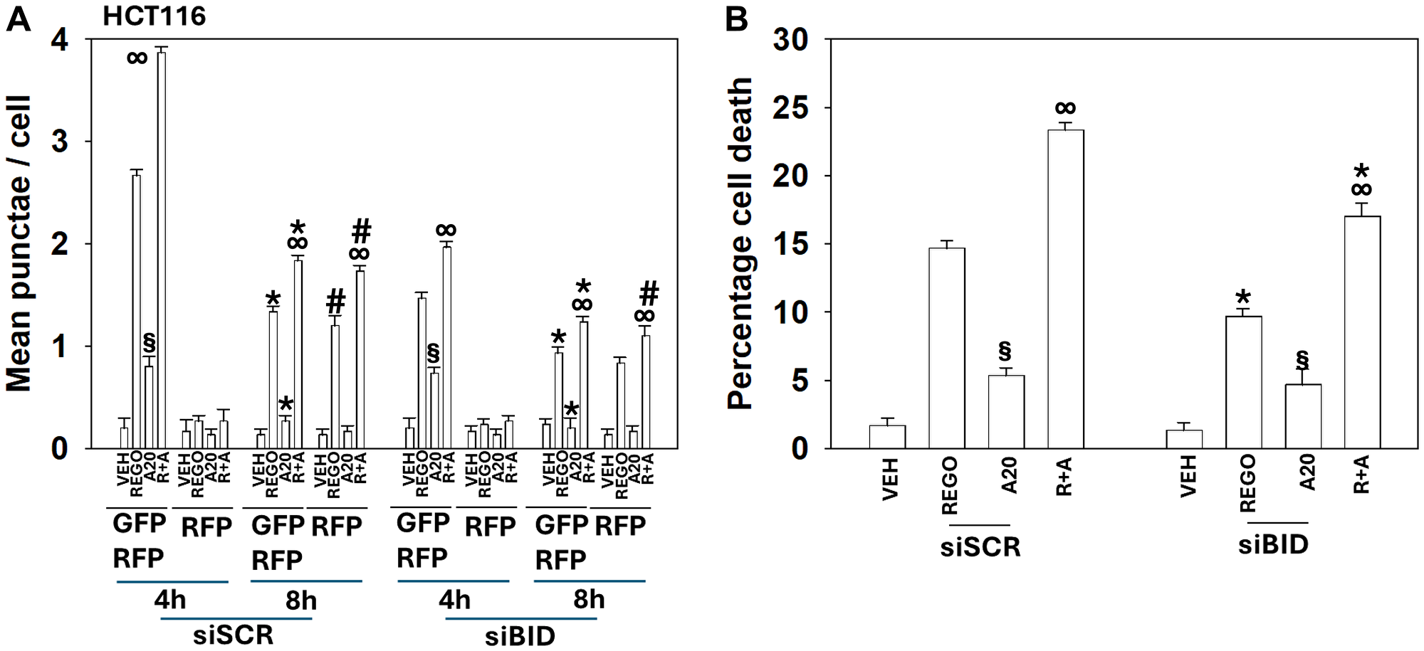 In HCT116 cells knock down of BID reduces aramchol-induced autophagic flux and tumor cell death