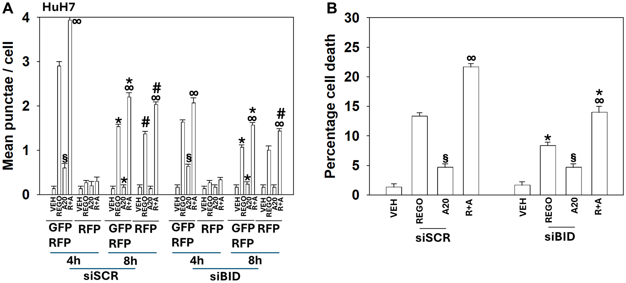 In HuH7 hepatoma cells knock down of BID reduces aramchol-induced autophagic flux and tumor cell death