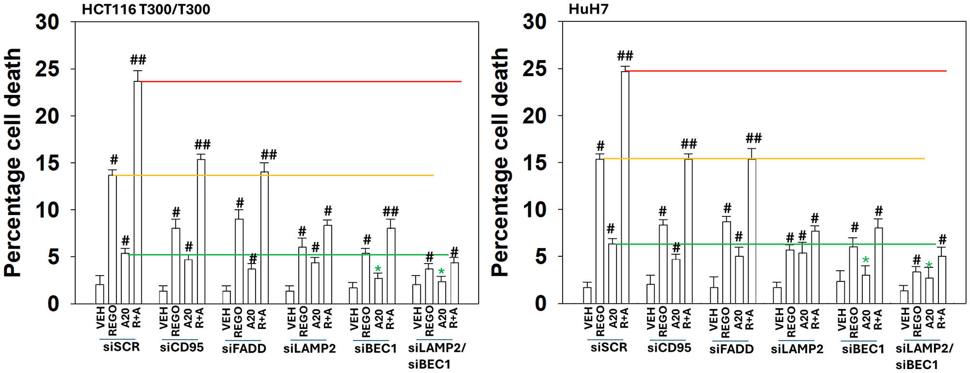 Enhanced LAMP2-dependent autolysosome formation is essential for the lethal interaction between aramchol and regorafenib
