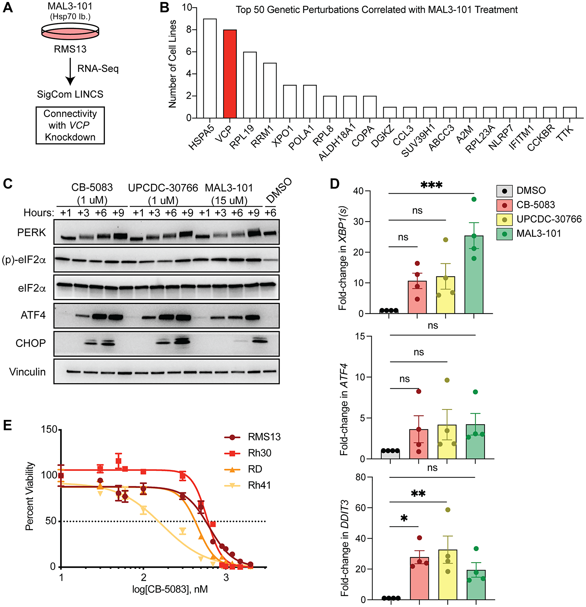 p97 inhibition activates the unfolded protein response and induces apoptosis in rhabdomyosarcoma