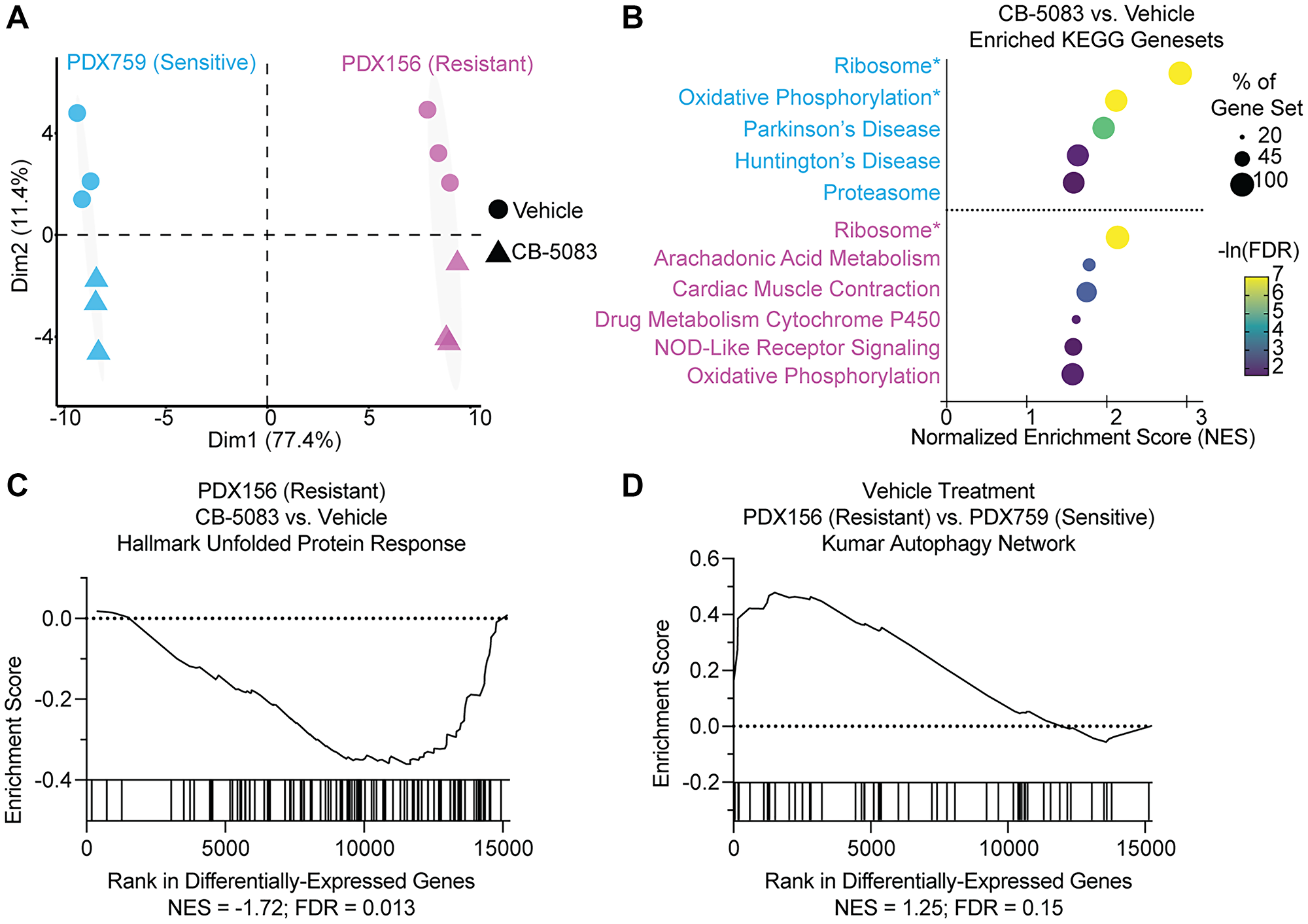 Resistant PDX show decreased UPR signaling and increased autophagy