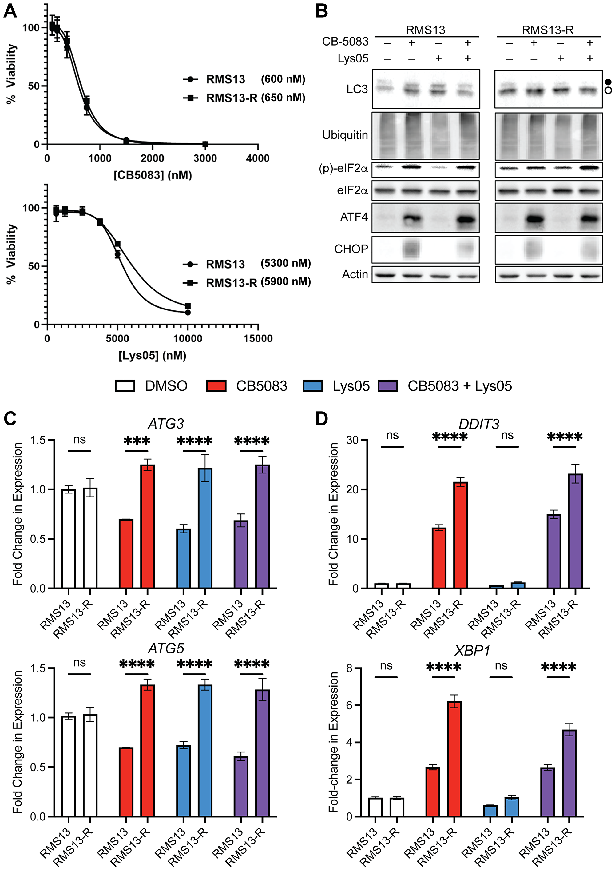 Resistance to proteostasis inhibitors is not cross-reactive, and highlights plasticity