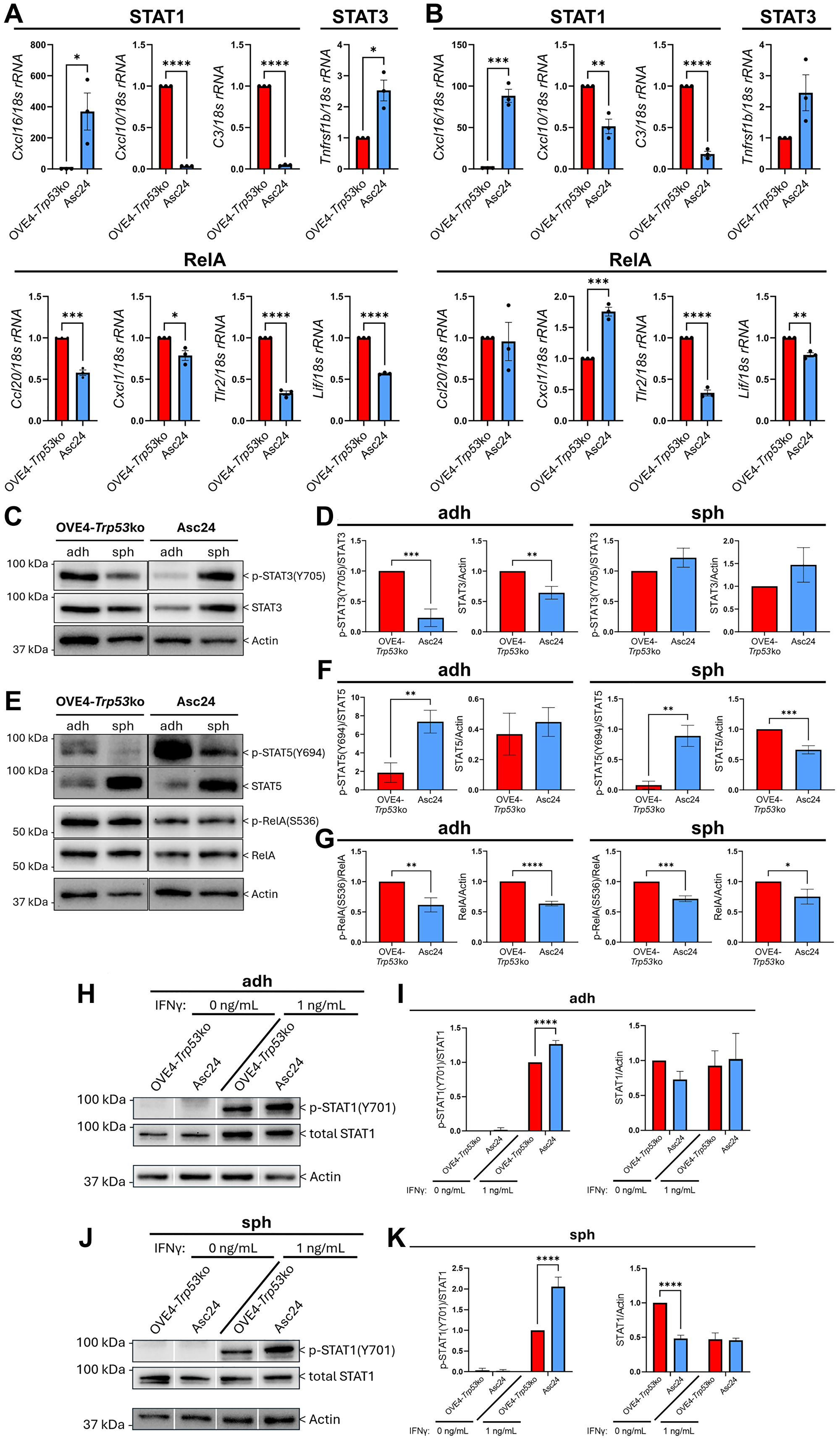 Ascites-derived cell lines have reduced pro-inflammatory signaling