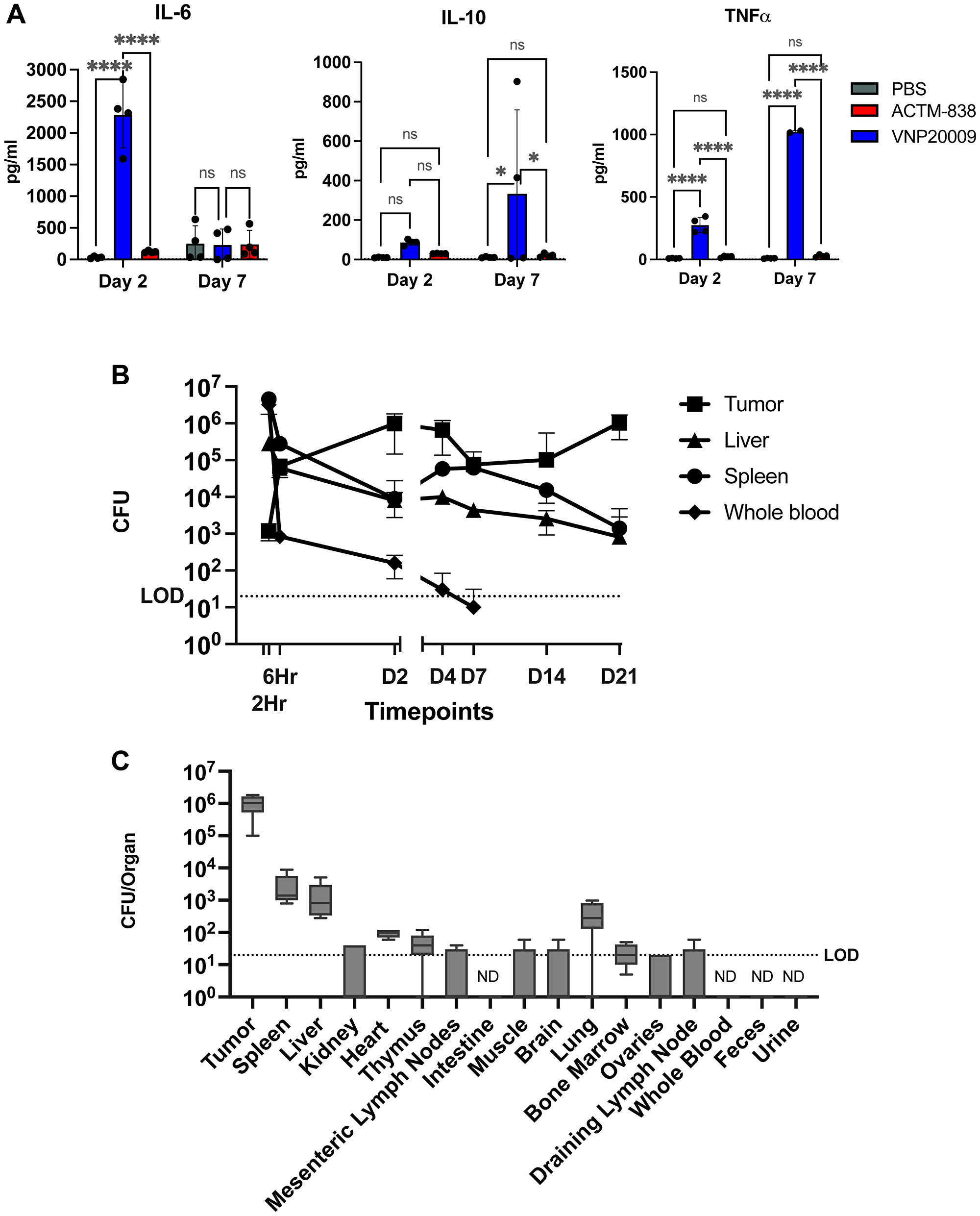 Modified STACT chassis of ACTM-838 increases safety and maintains enriched tumor colonization with a single IV dose
