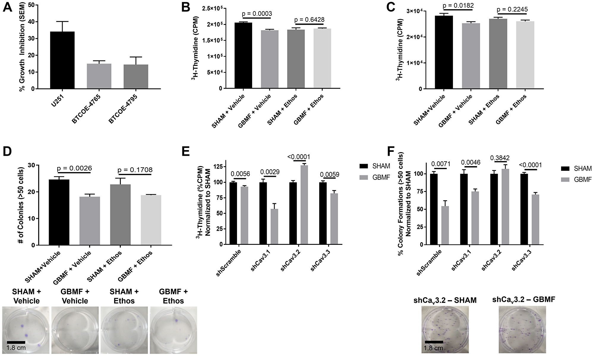 Proliferative inhibition of GB cell lines