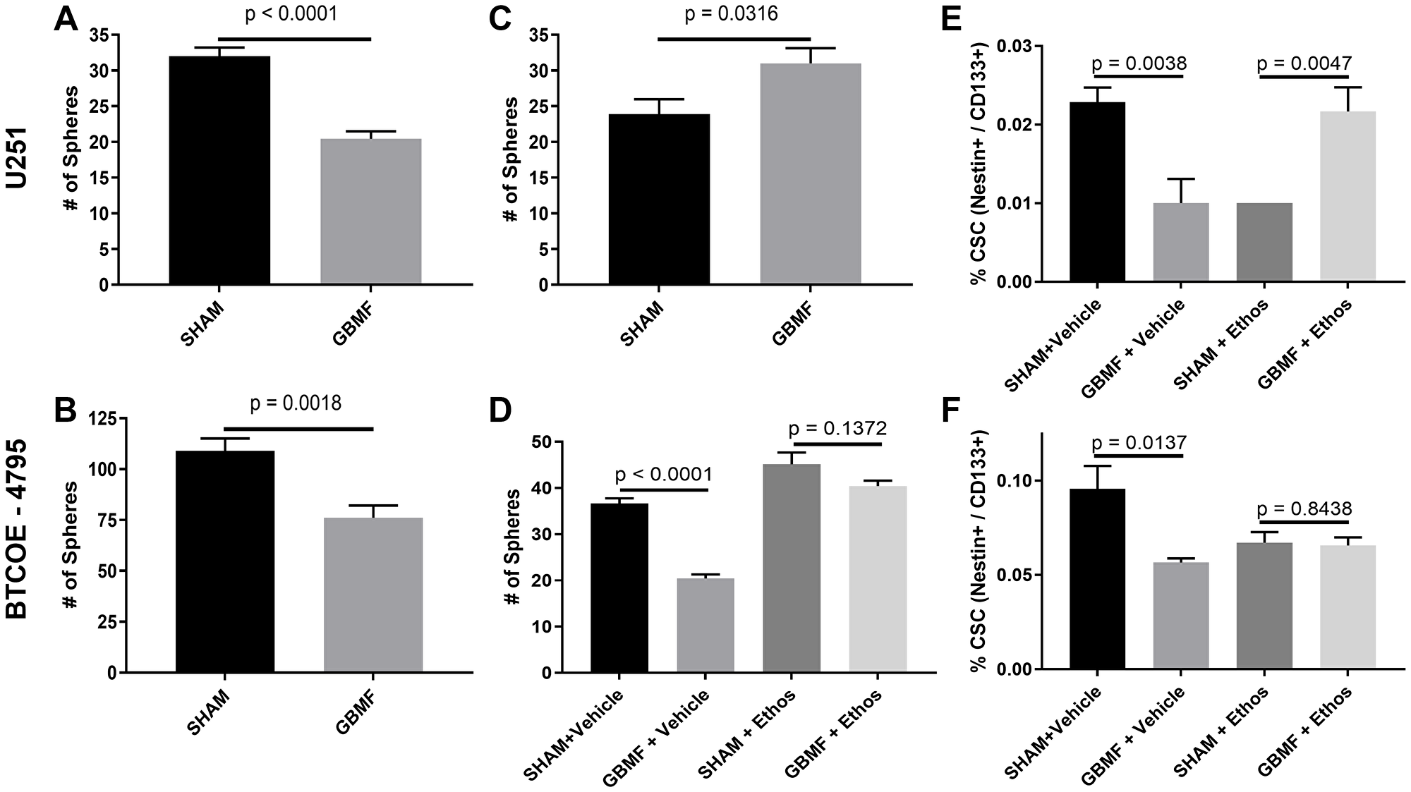 Inhibition of GB cancer stem cells