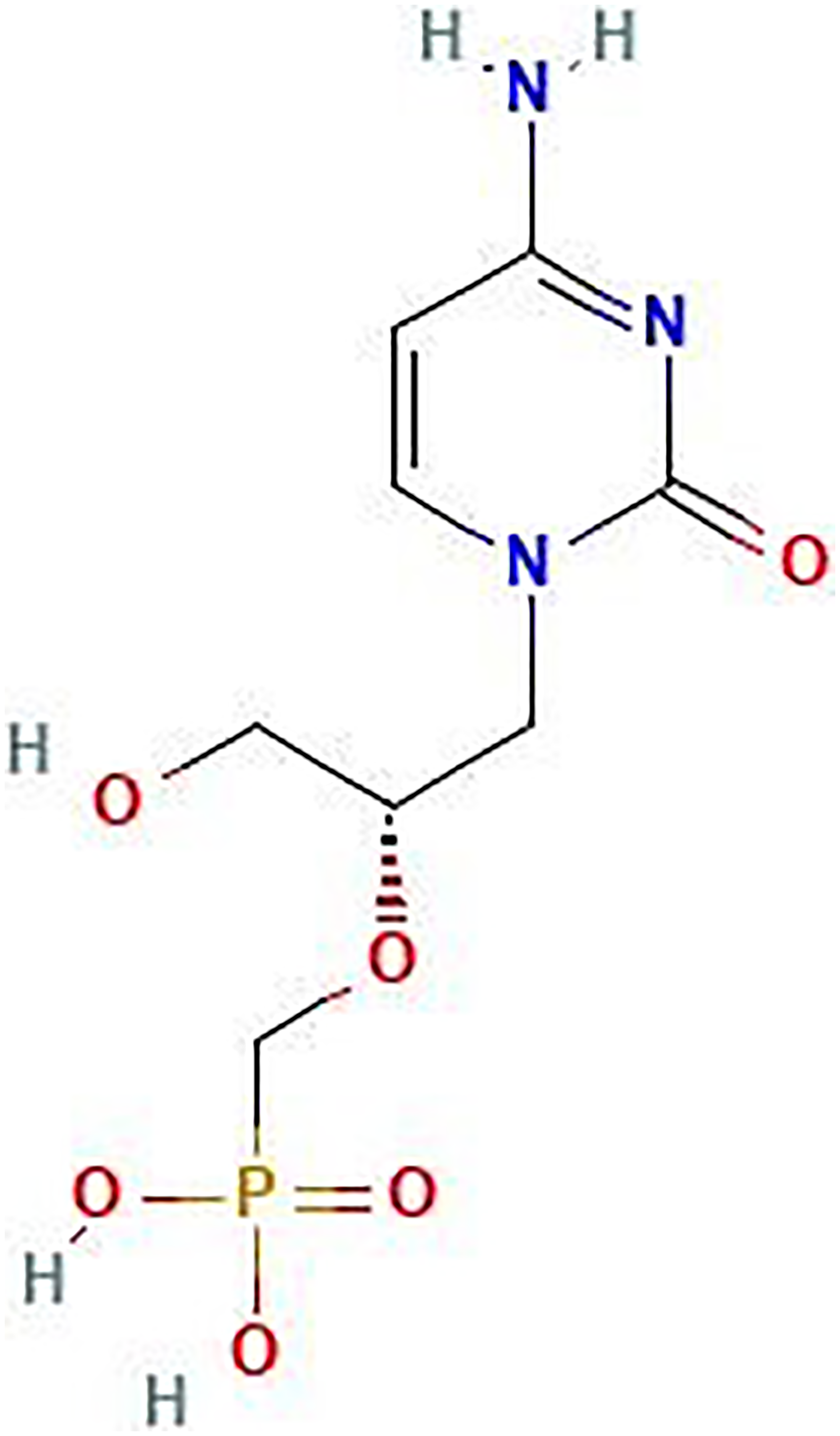 The molecular structure of antiviral drug cidofovir (CDV)