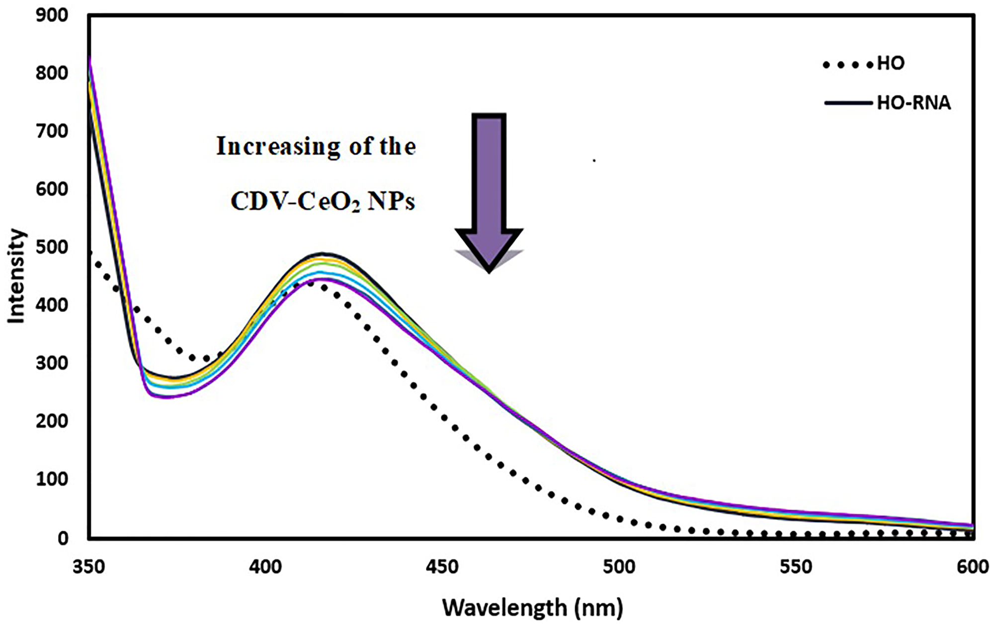 Fluorescence spectra of Hoechst + RNA in the presence of CDV-CeO2 NPs (2.44 × 10−5 to 2.59 × 10−4 g/mL), RNA = (1.76 × 10−4 M) CHoechst = (5.00 × 10−6 M)
