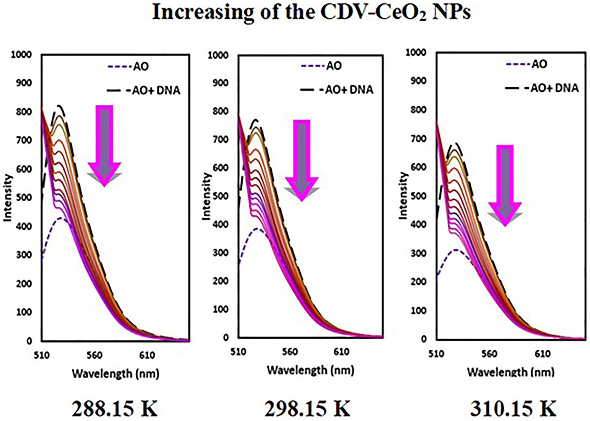 Fluorescence spectra of AO + DNA in the presence of CDV-CeO2 NPs (2.44 × 10−5 to 2.59 × 10−4 g/mL), DNA = (1.76 × 10−4 M) CAO = (5.00 × 10−6 M)