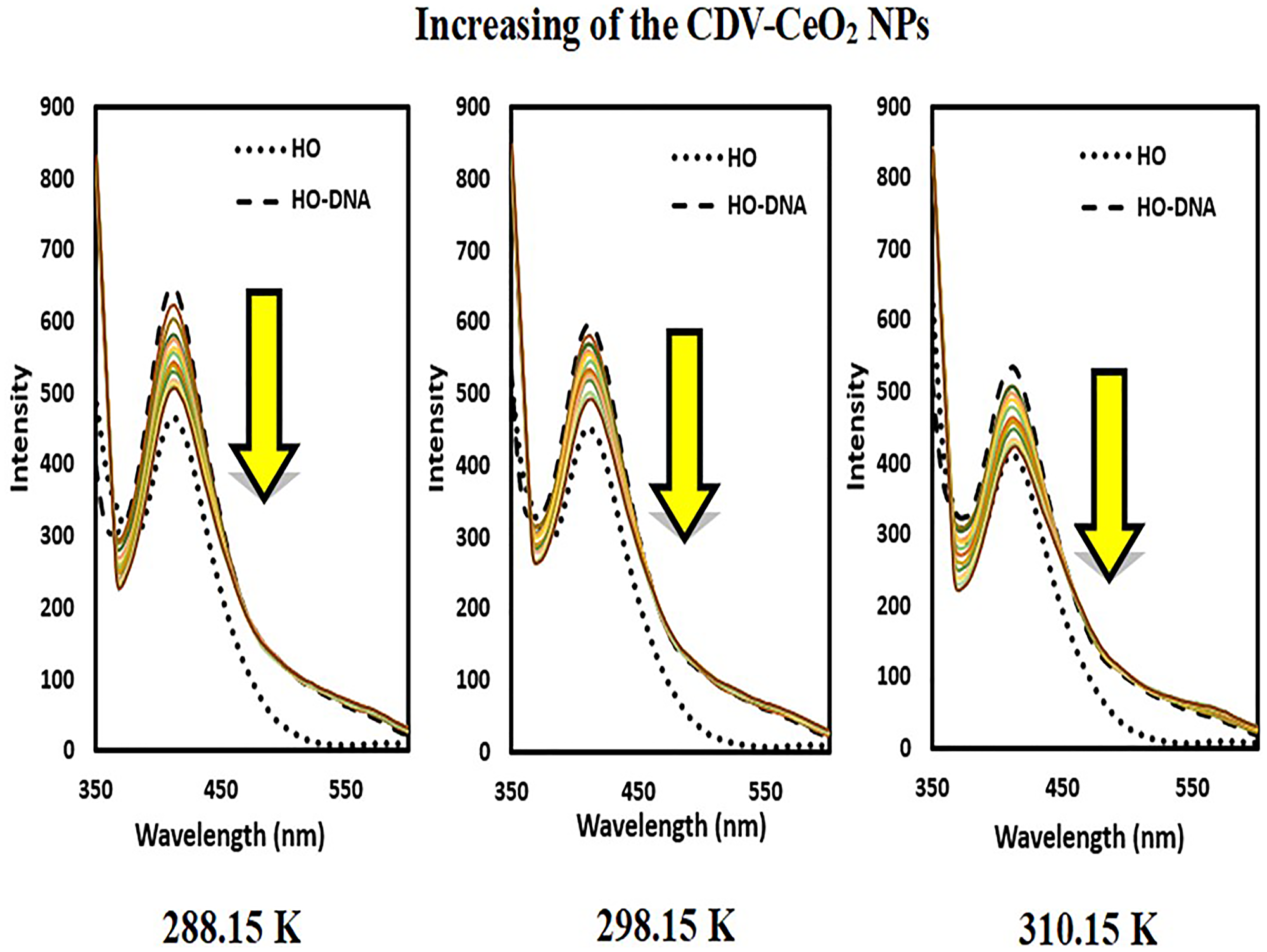 Fluorescence spectra of Hoechst + ct-DNA in the presence of CDV-CeO2 NPs (2.44 × 10−5 to 2.59 × 10−4 g/mL), Ct-DNA = (1.76 × 10−4 M) CHoechst = (5.00 × 10−6 M)